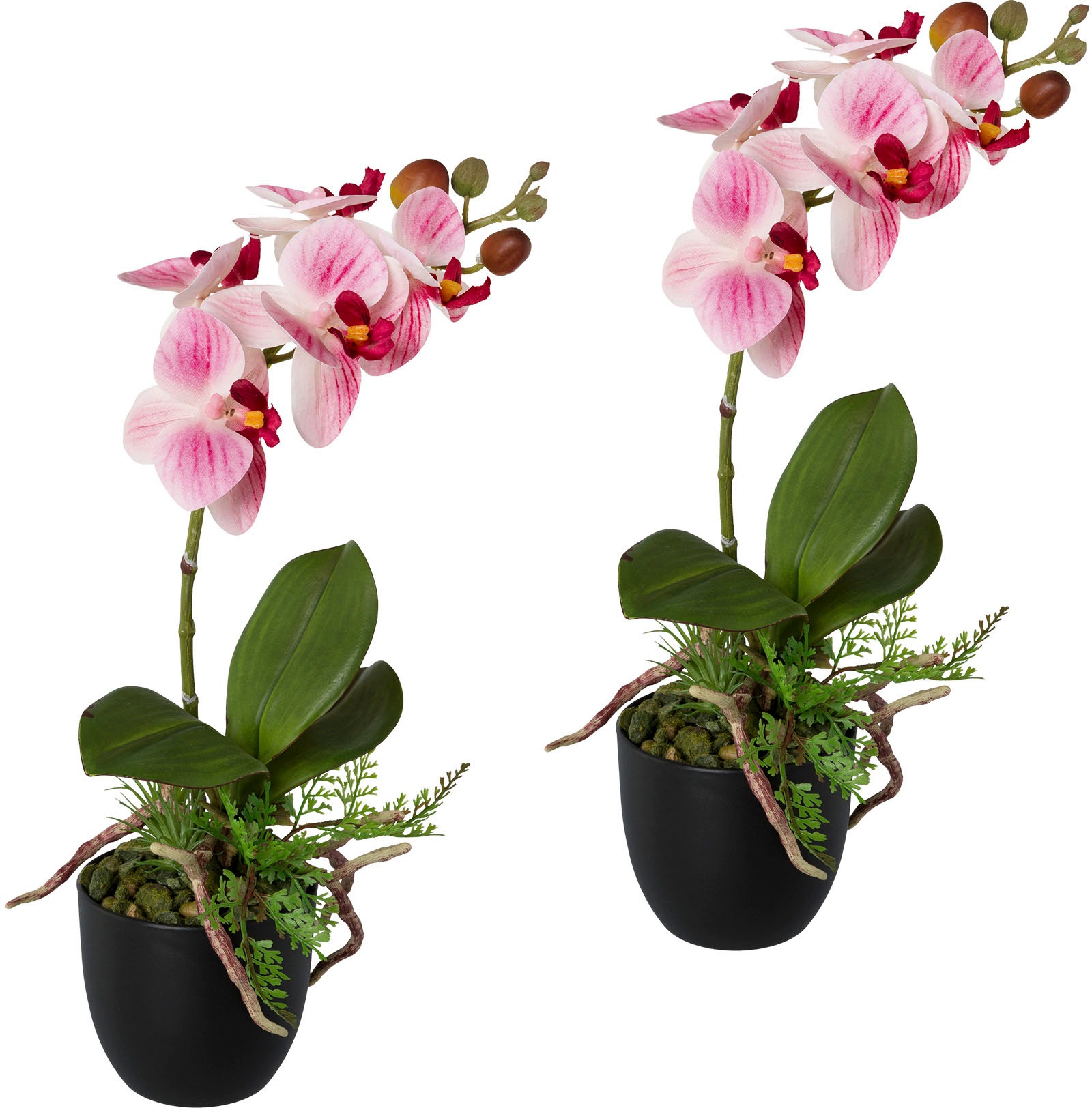 Creativ green Kunstorchidee »Phalaenopsis«, (2 St.), 2er Set, im Kunststofftopf kaufen