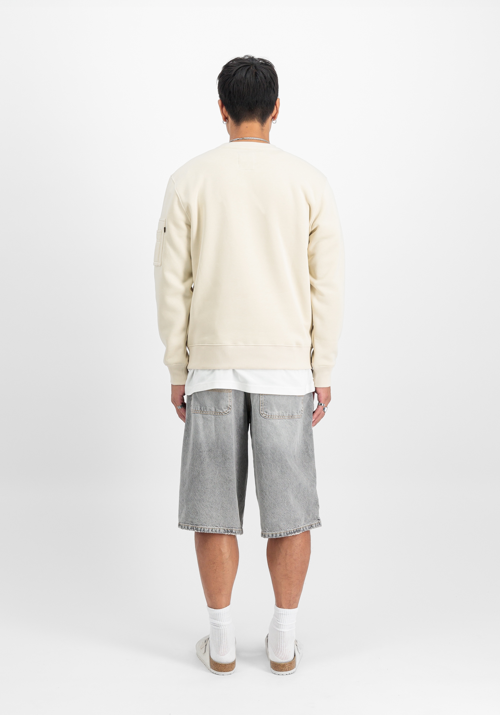 Alpha Industries Sweater »Alpha Industries Men - Sweatshirts Alpha Refl. Print Sweater«