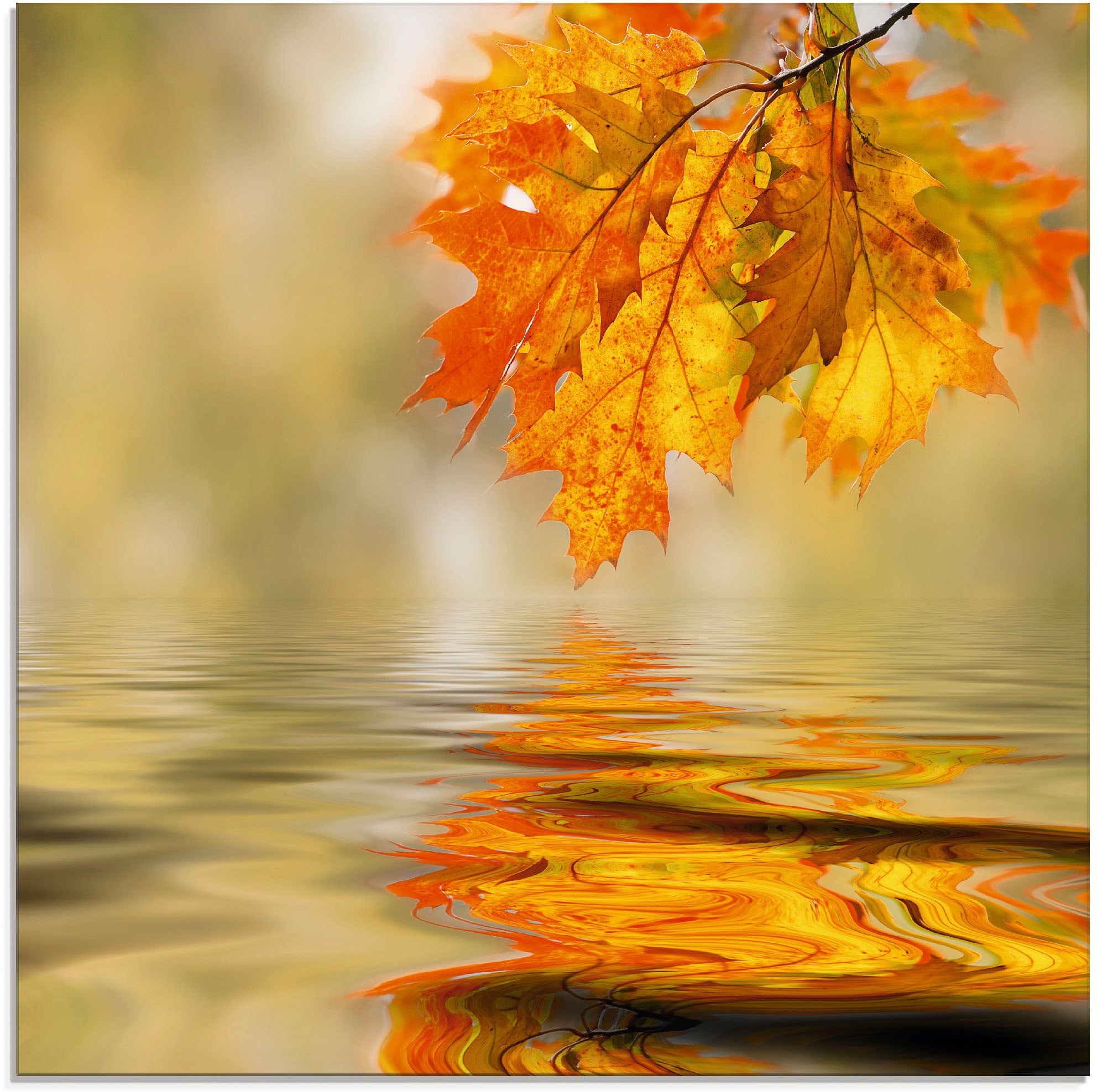 Artland Glasbild »Herbstblätter«, Blätter, (1 St.), in verschiedenen Größen  auf Raten kaufen