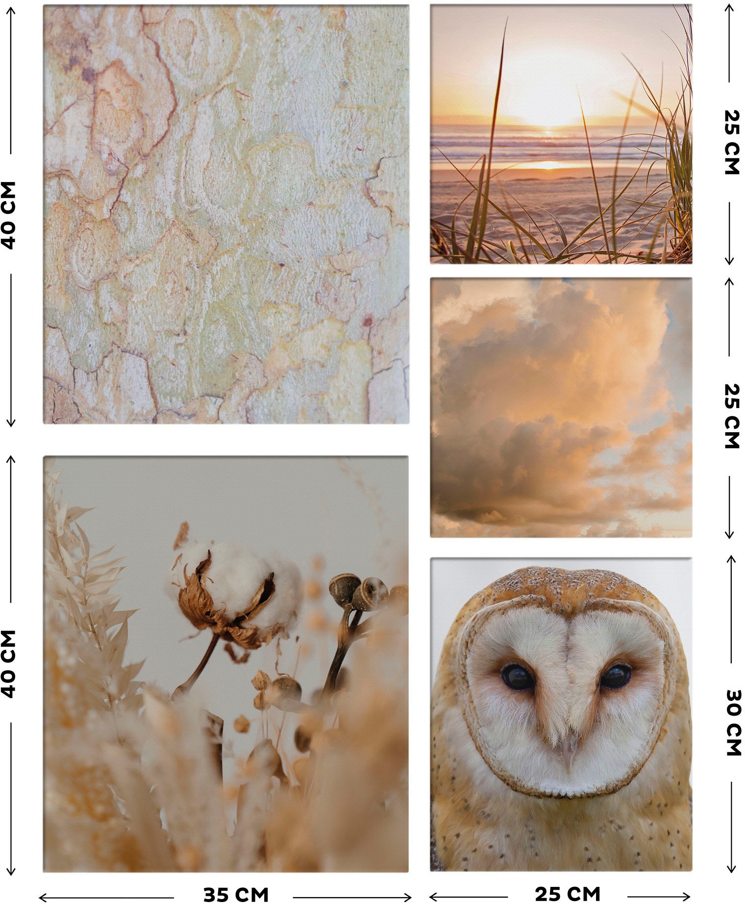 Art for the home Leinwandbild »Set Natur«, (Set, 5 St.)