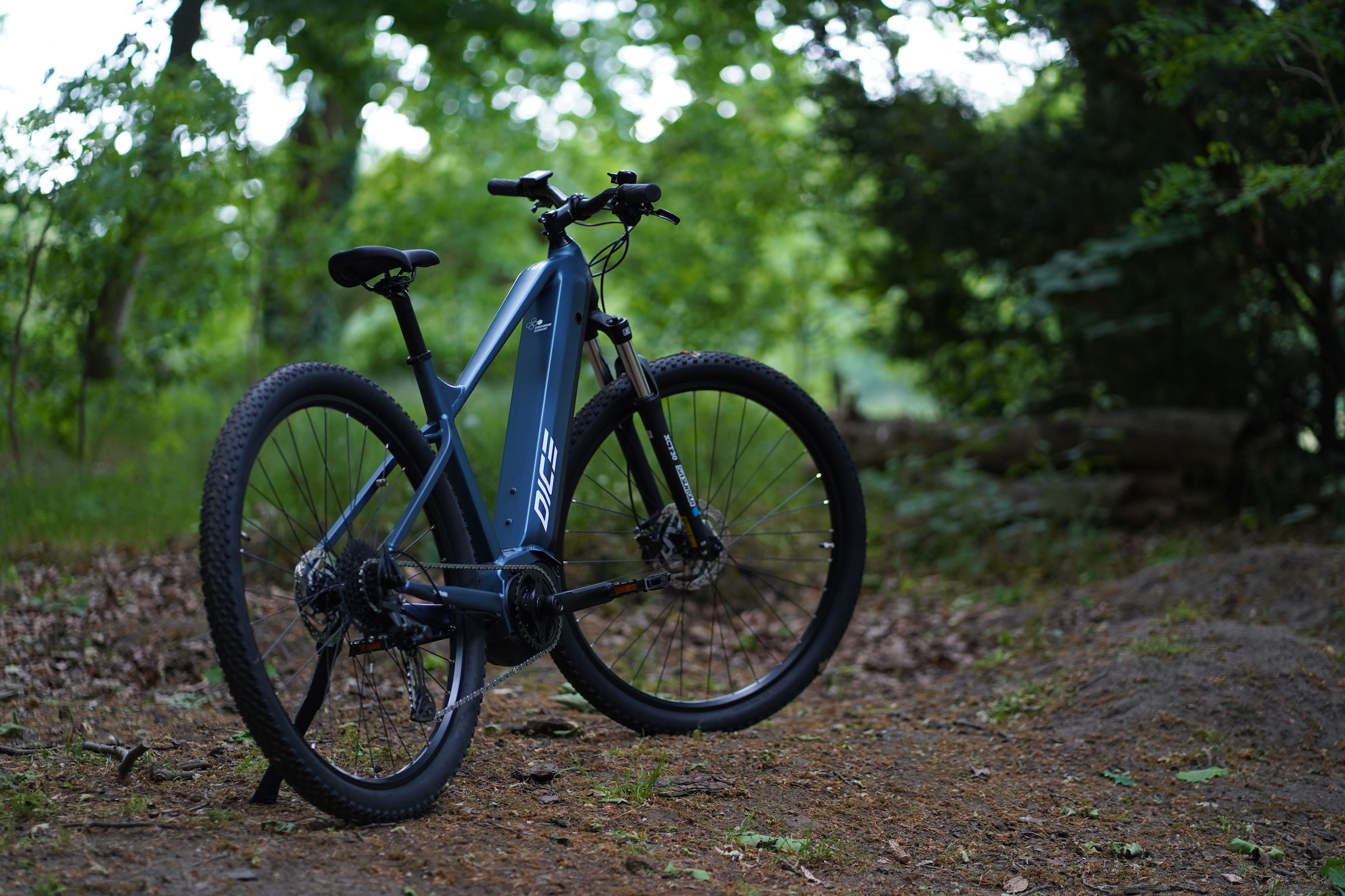 Prophete E-Bike »Dice 3.8«, 10 Gang, Shimano, Cues, Mittelmotor 250 W