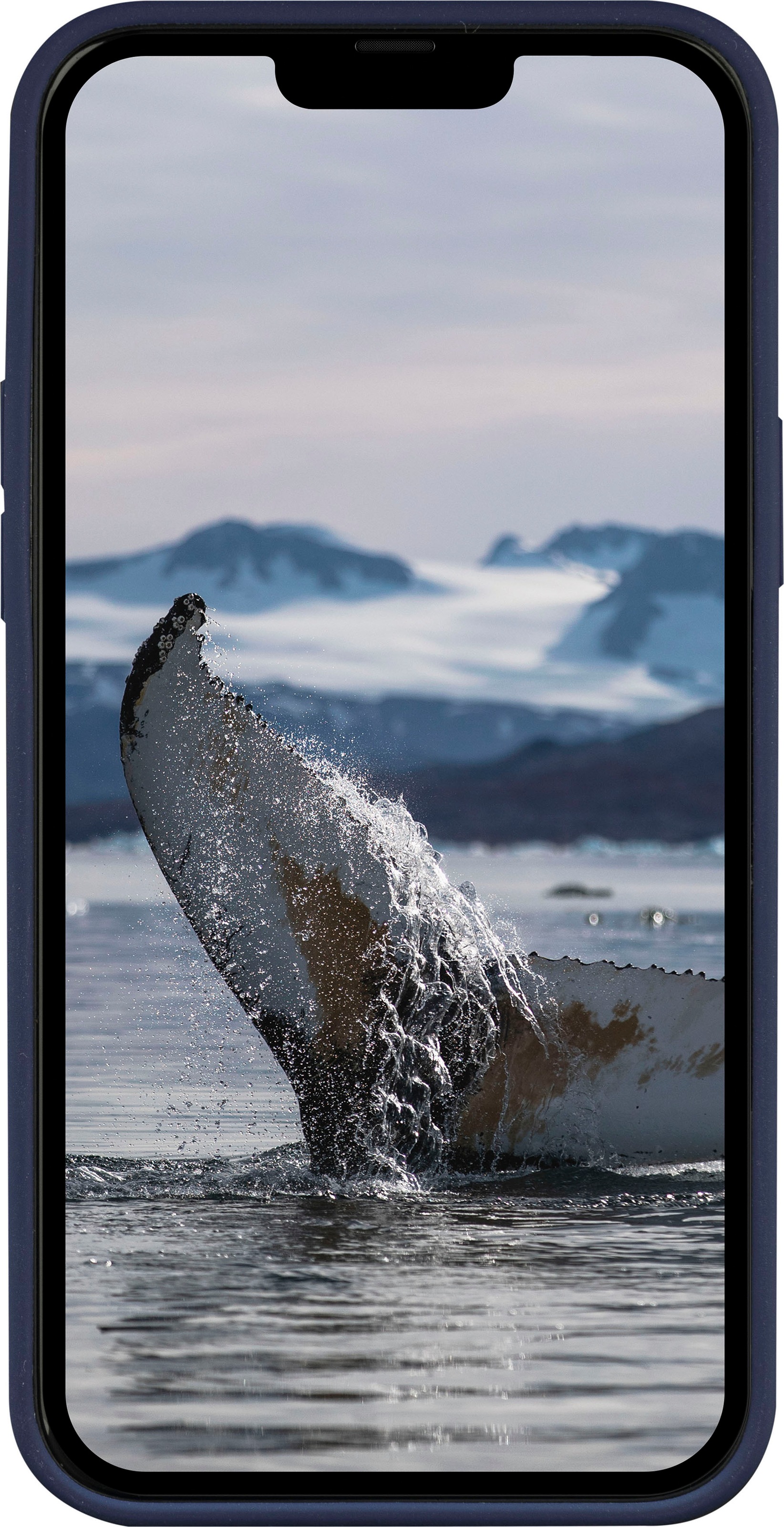 dbramante1928 Handyhülle »Monaco iPhone 14 Pro Max«, iPhone 14 Pro Max, 17,02 cm (6,7 Zoll)