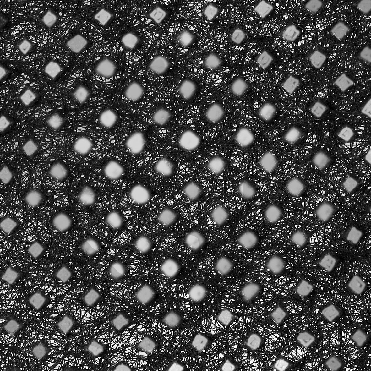 Windhager Unkrautvlies BxL: 90x1000 cm