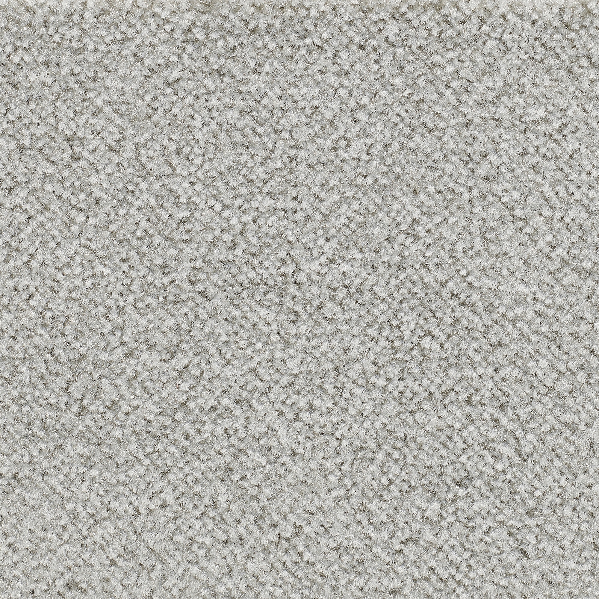 Bodenmeister Teppichboden »Veloursteppich Juno«, rechteckig, Wohnzimmer,  Schlafzimmer, Kinderzimmer, Breite 400/500 cm bequem und schnell bestellen | Kurzflor-Teppiche