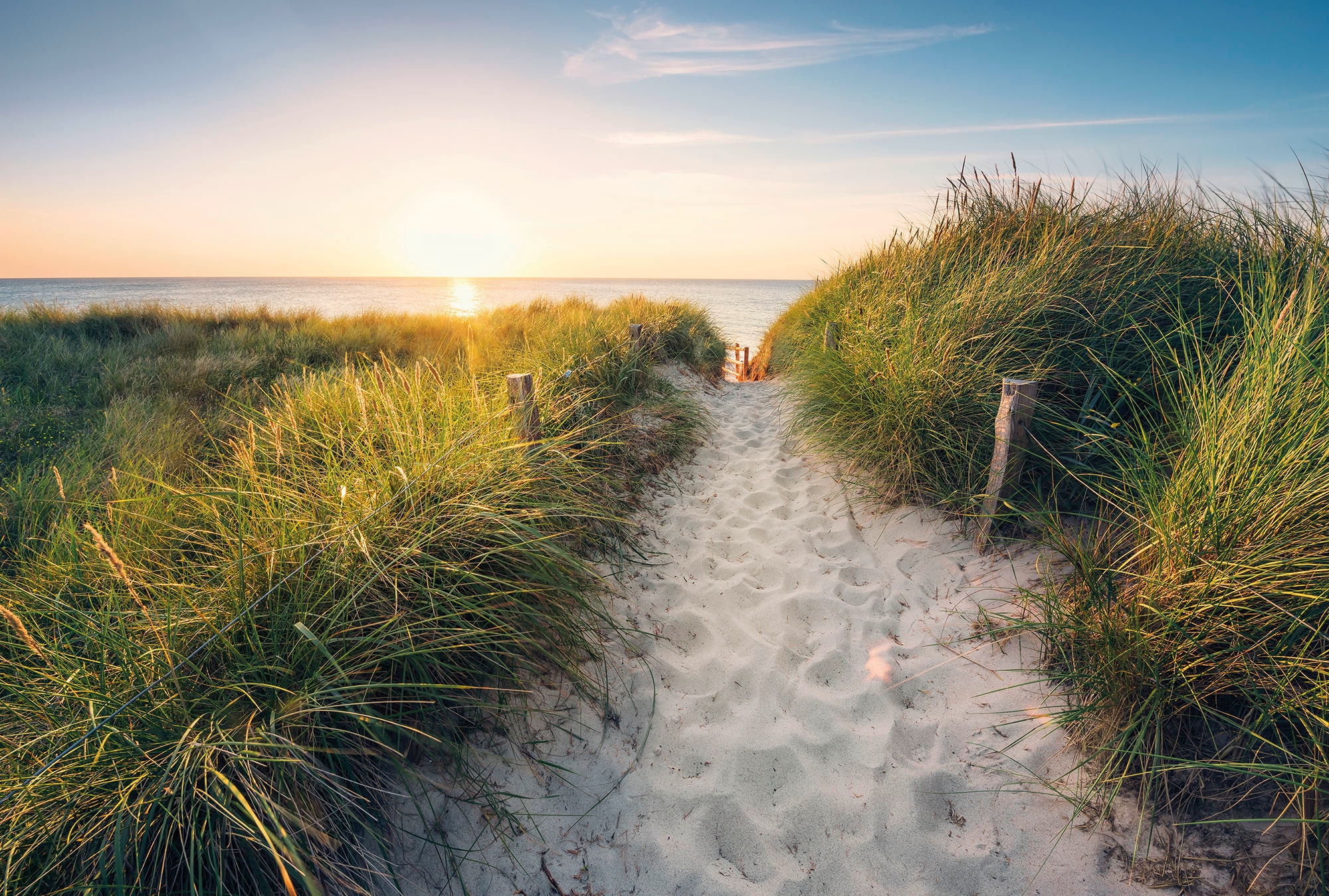 Komar Fototapete »Vlies - Way to the Beach - Größe 368 x 248 cm«, bedruckt, günstig online kaufen