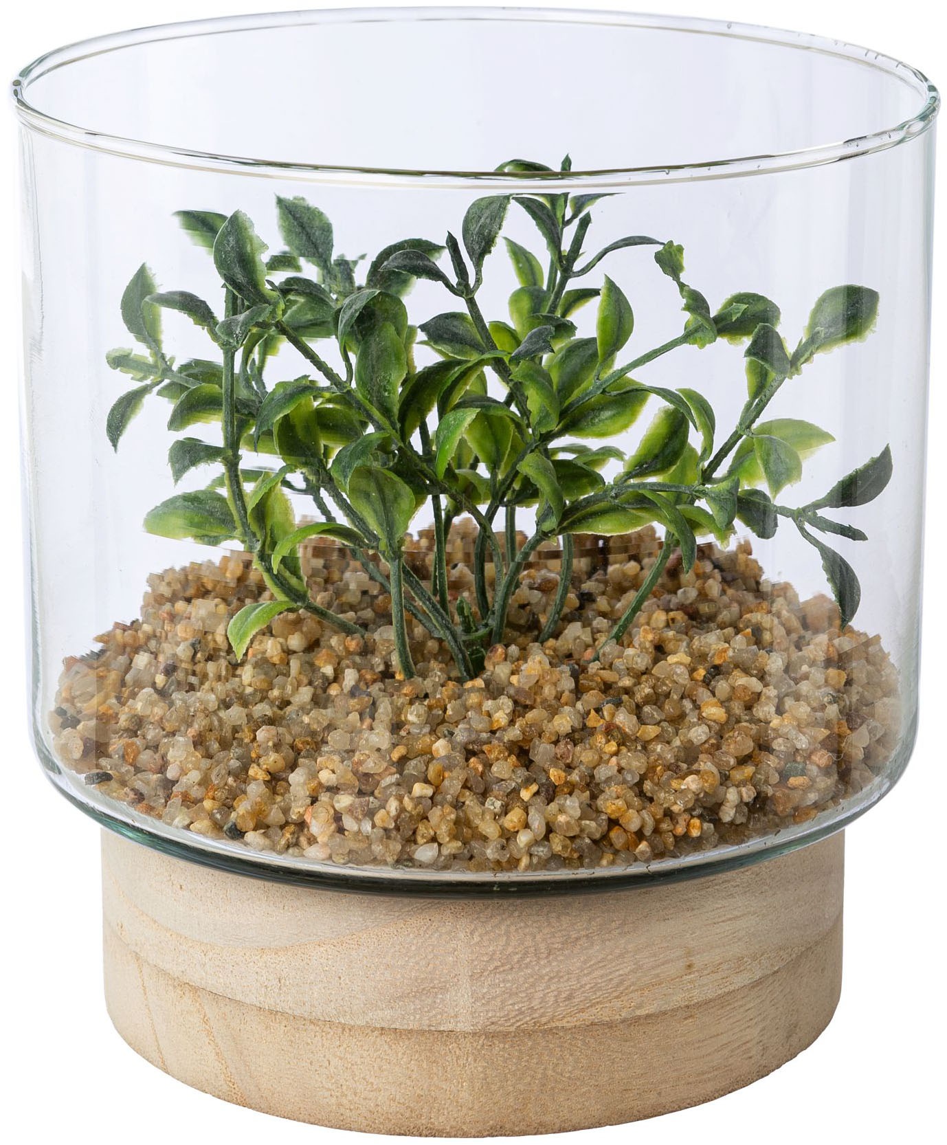 Creativ green Kunstpflanze »Sukkulenten im Glasgefäß« günstig online kaufen