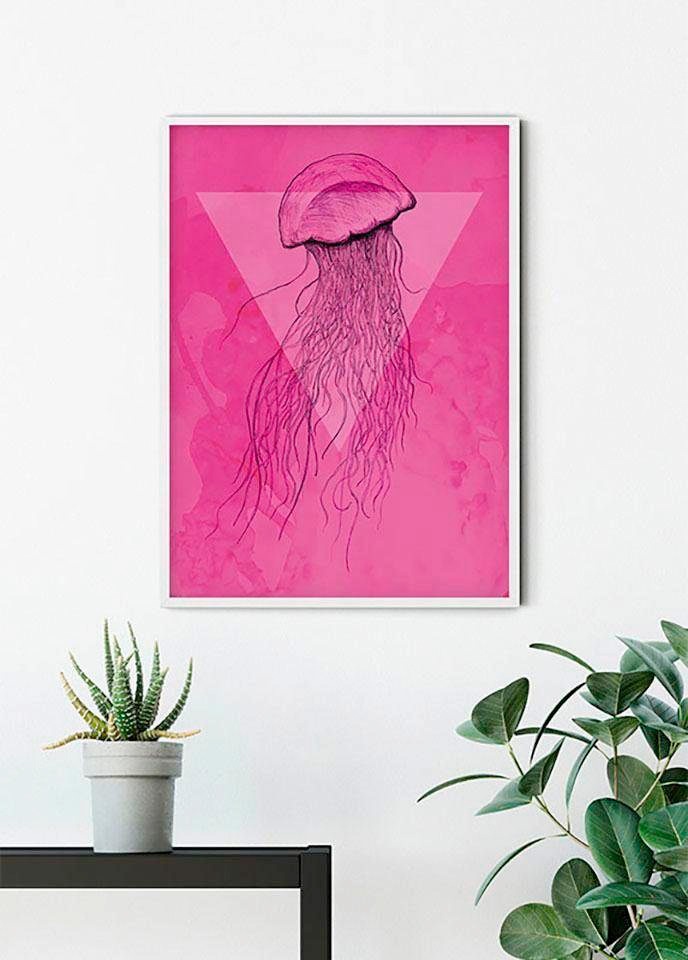 Komar Bild »Jellyfish Pink«, Tiere, (1 St.), Wandbild zur Dekoration - ohne Rahmen