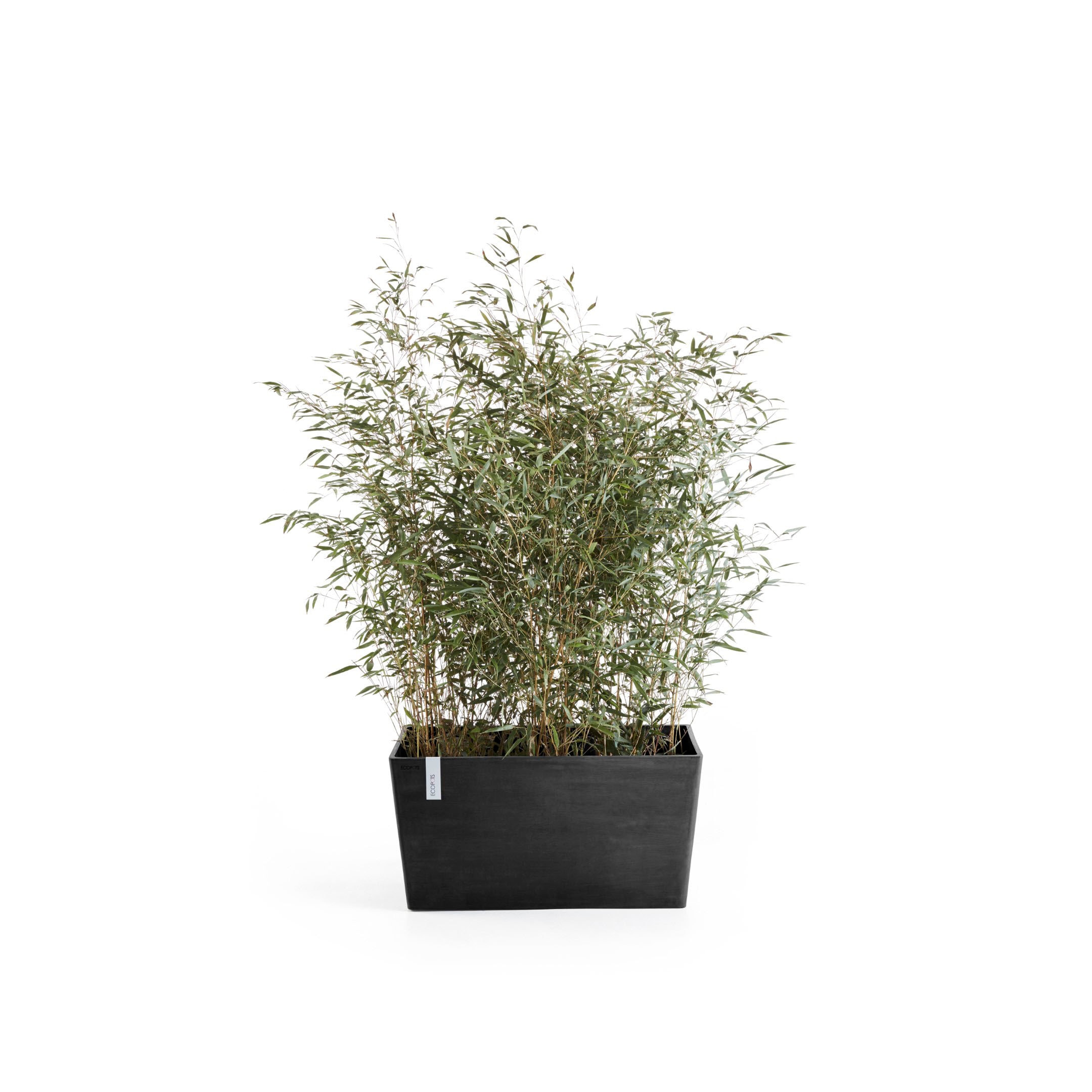 ECOPOTS Blumentopf »Paris« BxTxH: 99x46x50 cm