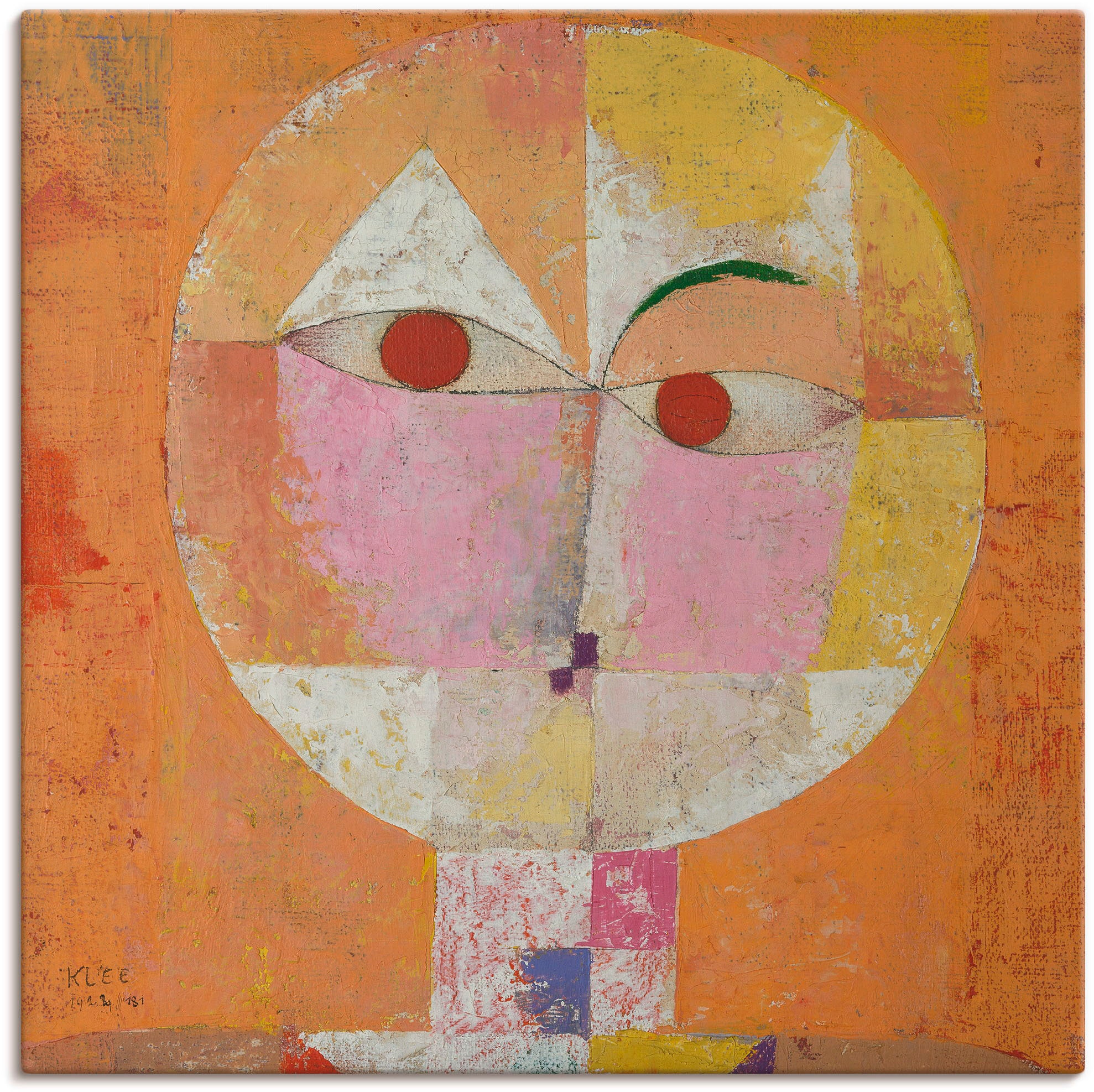 Artland Wandbild »Senecio«, Muster, (1 St.), als Alubild, Outdoorbild, Lein günstig online kaufen