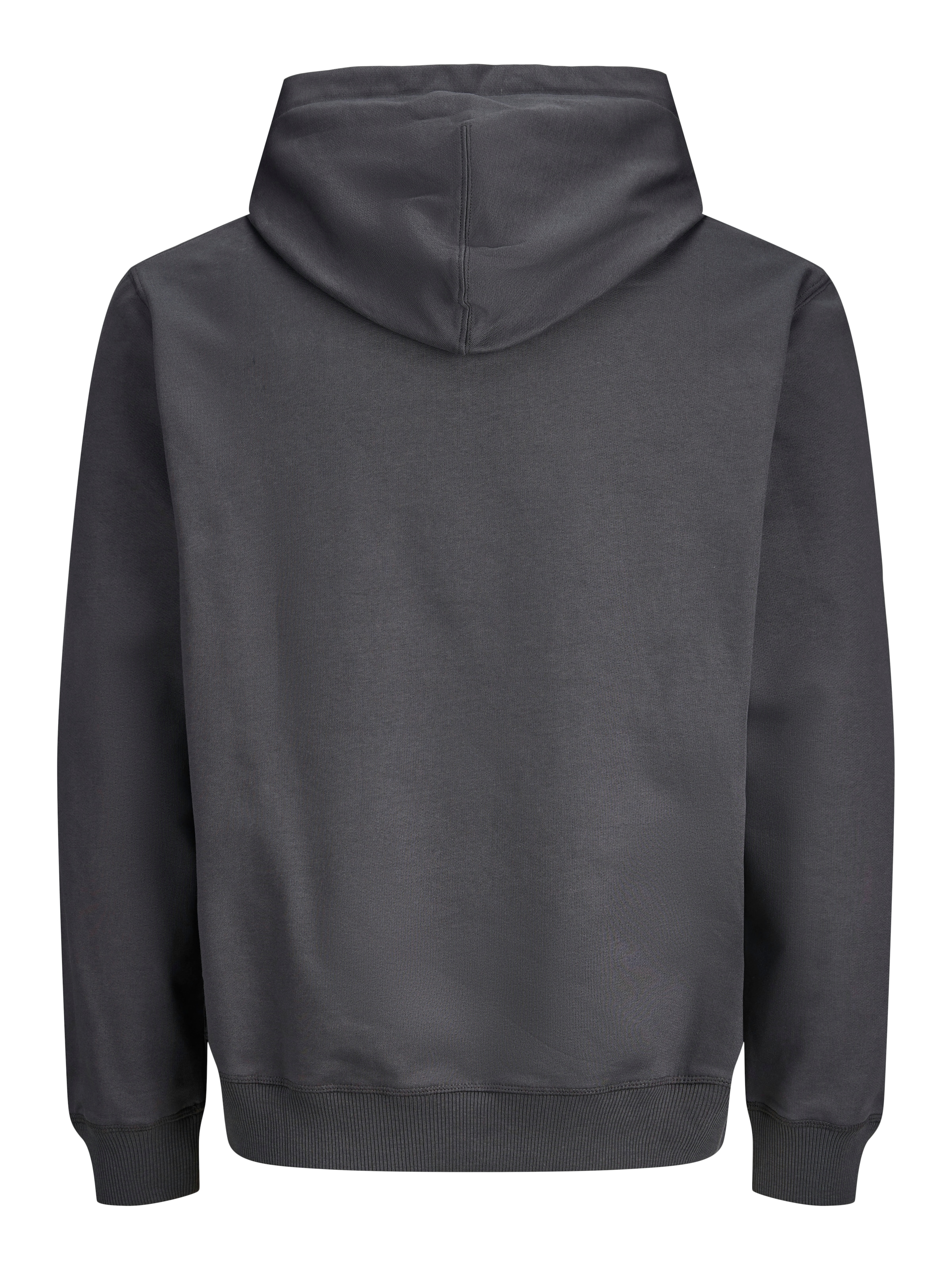 Jack & Jones Kapuzensweatshirt »JORNORREBRO EMB SWEAT HOOD NOOS«, mit Logo Print
