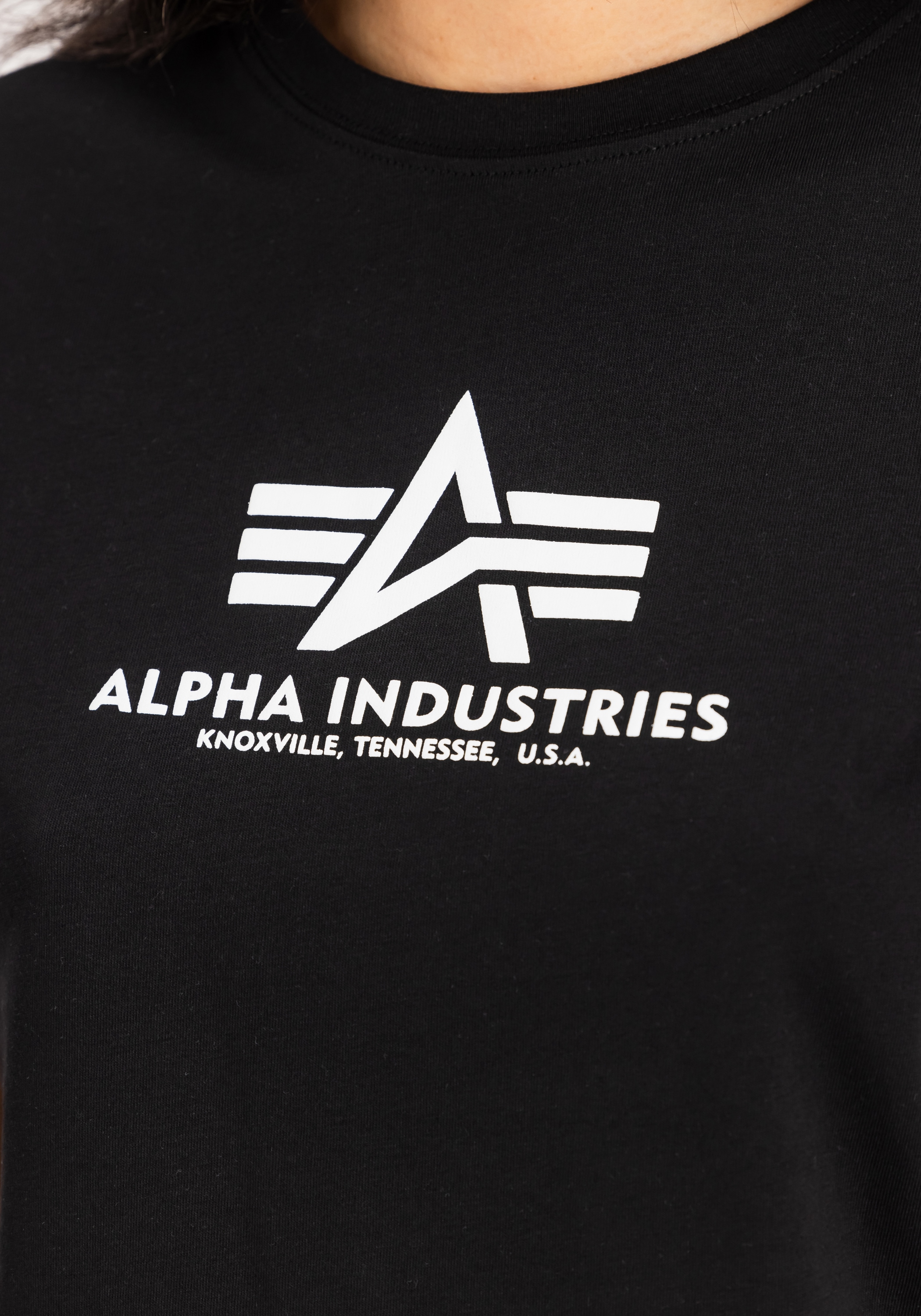 Alpha Industries T-Shirt »Basic T-Shirt BL Puff Print W«
