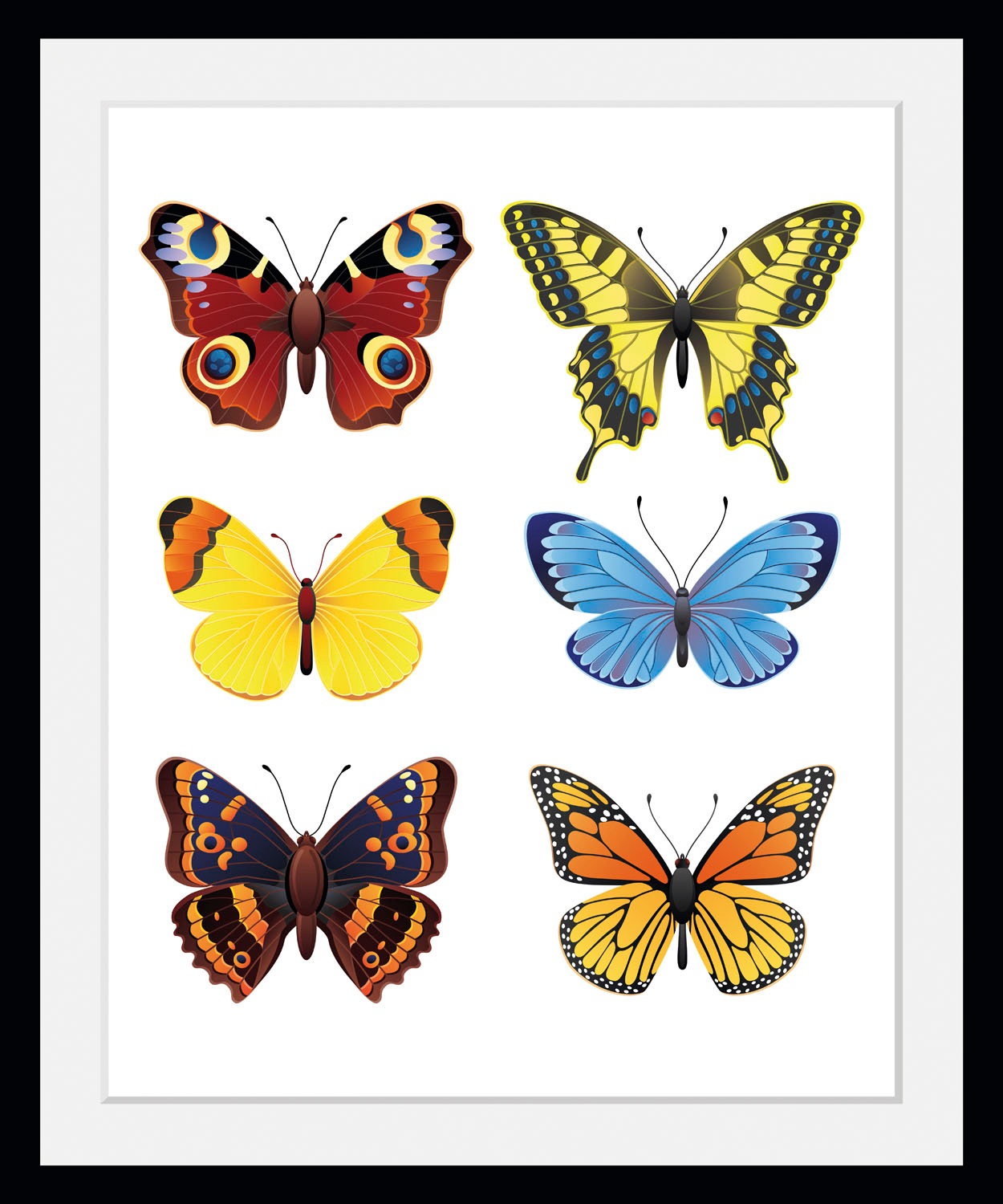 queence Bild »Irina«, Schmetterlinge-Kunst-Insekten, (1 St.), HD Premium Po günstig online kaufen