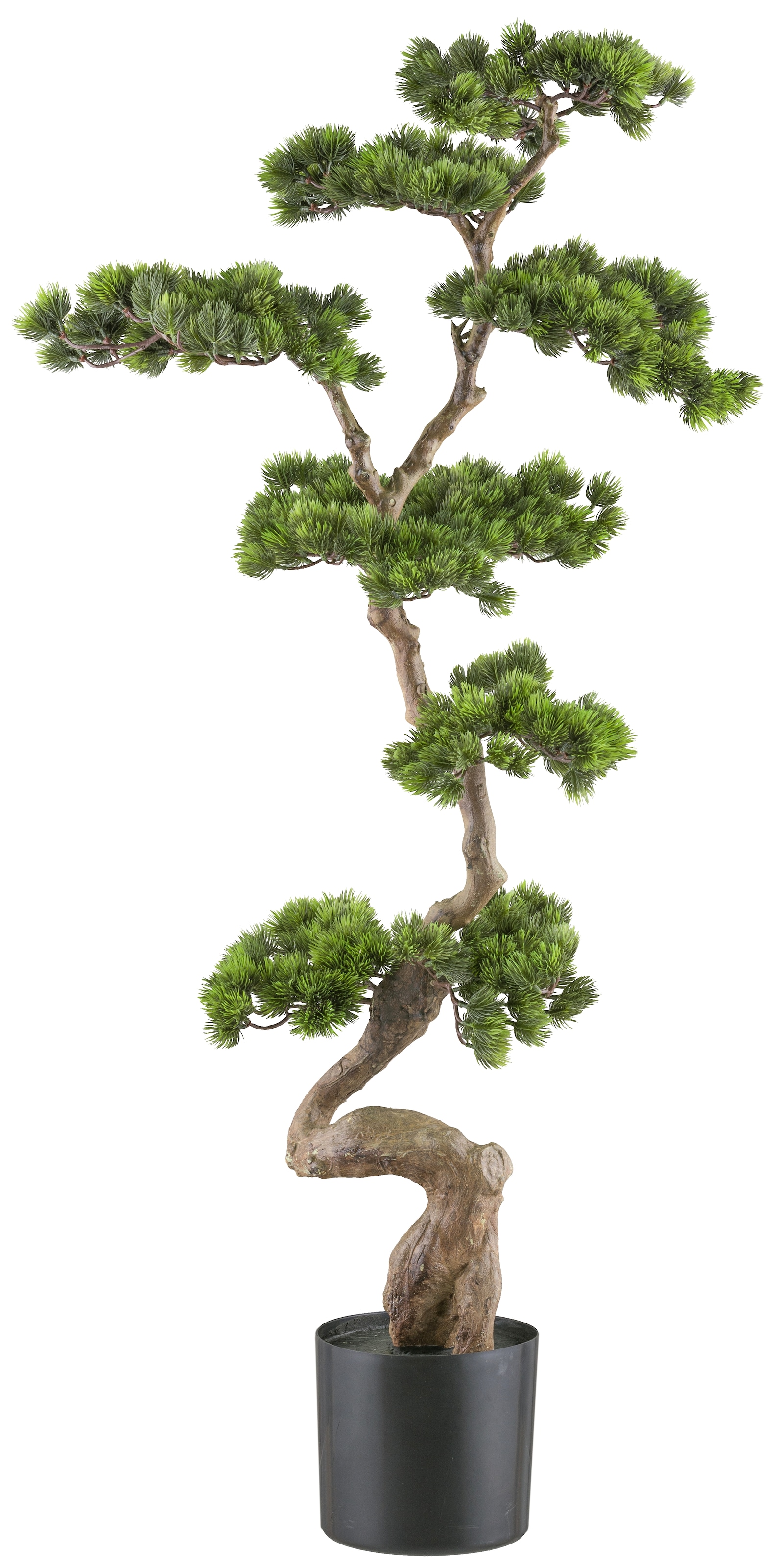 Creativ green Kunstbonsai »Bonsai Kiefer«, mit elegantem Stamm günstig online kaufen