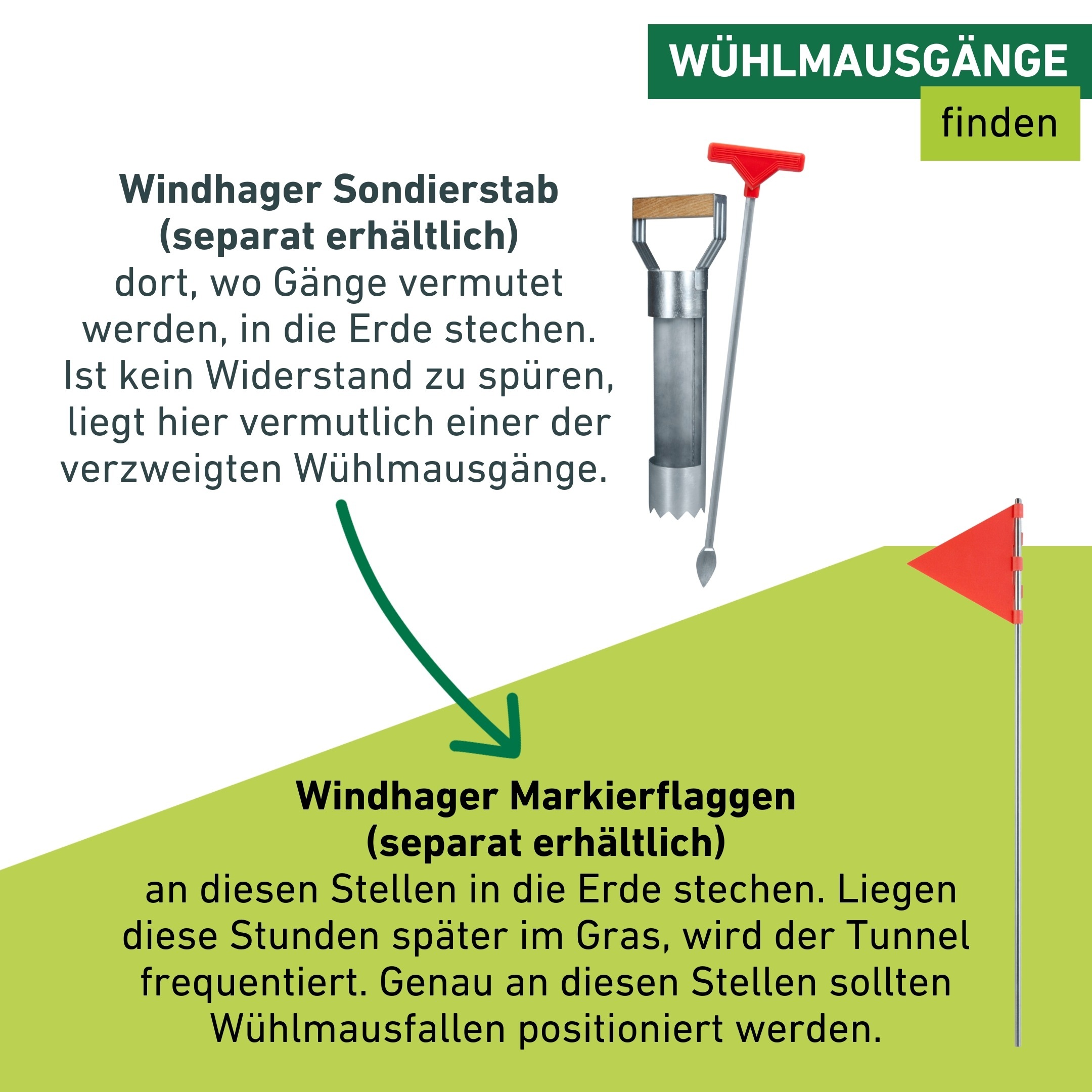 Windhager Schlagfalle »Wühlmausfalle Predator, wiederverwendbare Lebendfalle« Wühlmausbekämpfung robust und langlebig, schwarz