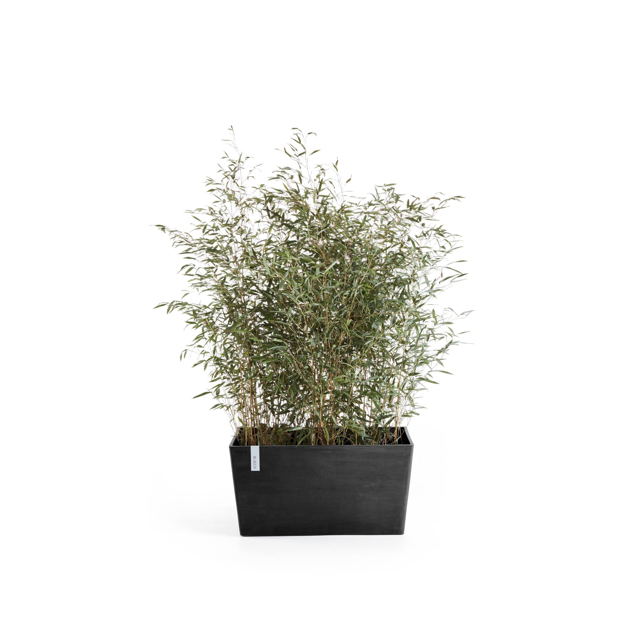 ECOPOTS Blumentopf »Paris«, BxTxH: 60x26x40 cm