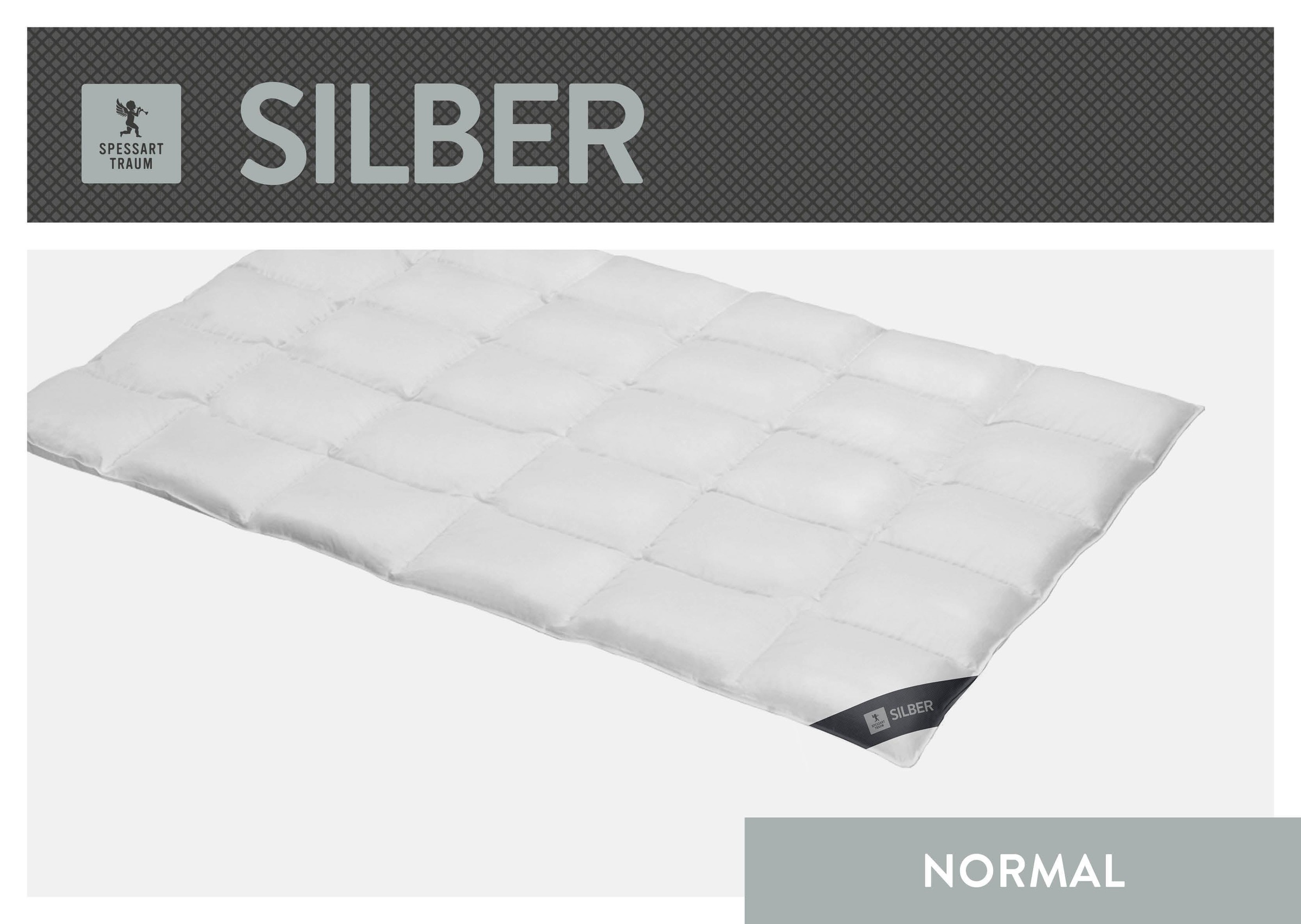 SPESSARTTRAUM Daunenbettdecke »Silber«, warm, Füllung 100% Daunen, Bezug 10 günstig online kaufen