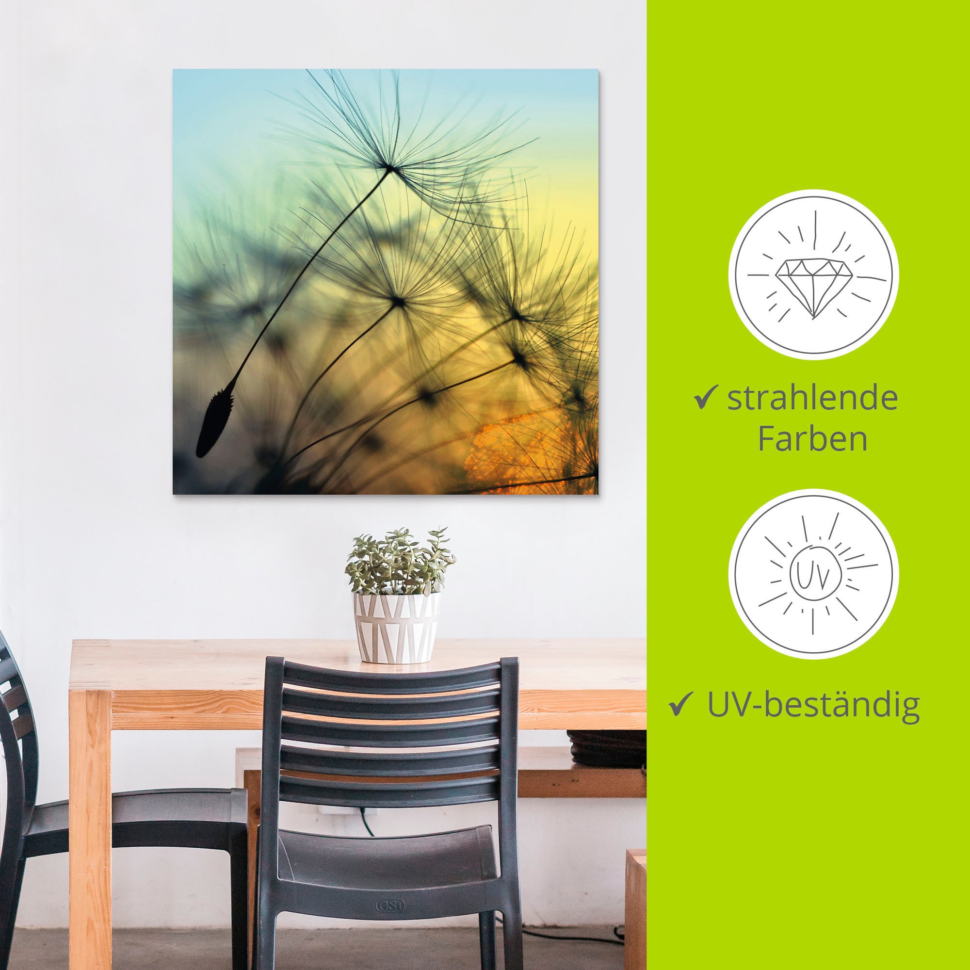 Artland Wandbild »Goldener Sonnenuntergang und Pusteblumen« 1 Stk. tlg. als Alubild, Outdoorbild, Leinwandbild, Poster, Wandaufkleber
