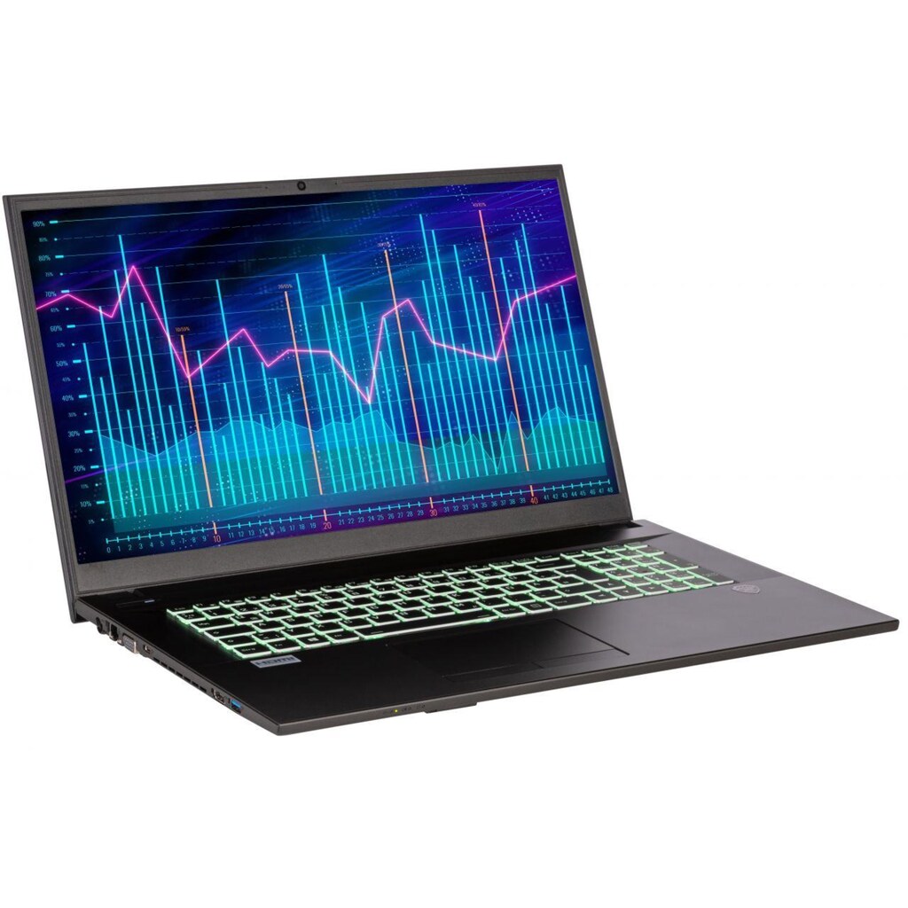 CAPTIVA Business-Notebook »Power Starter I61-811«, 43,9 cm, / 17,3 Zoll, Intel, Core i7, 500 GB SSD