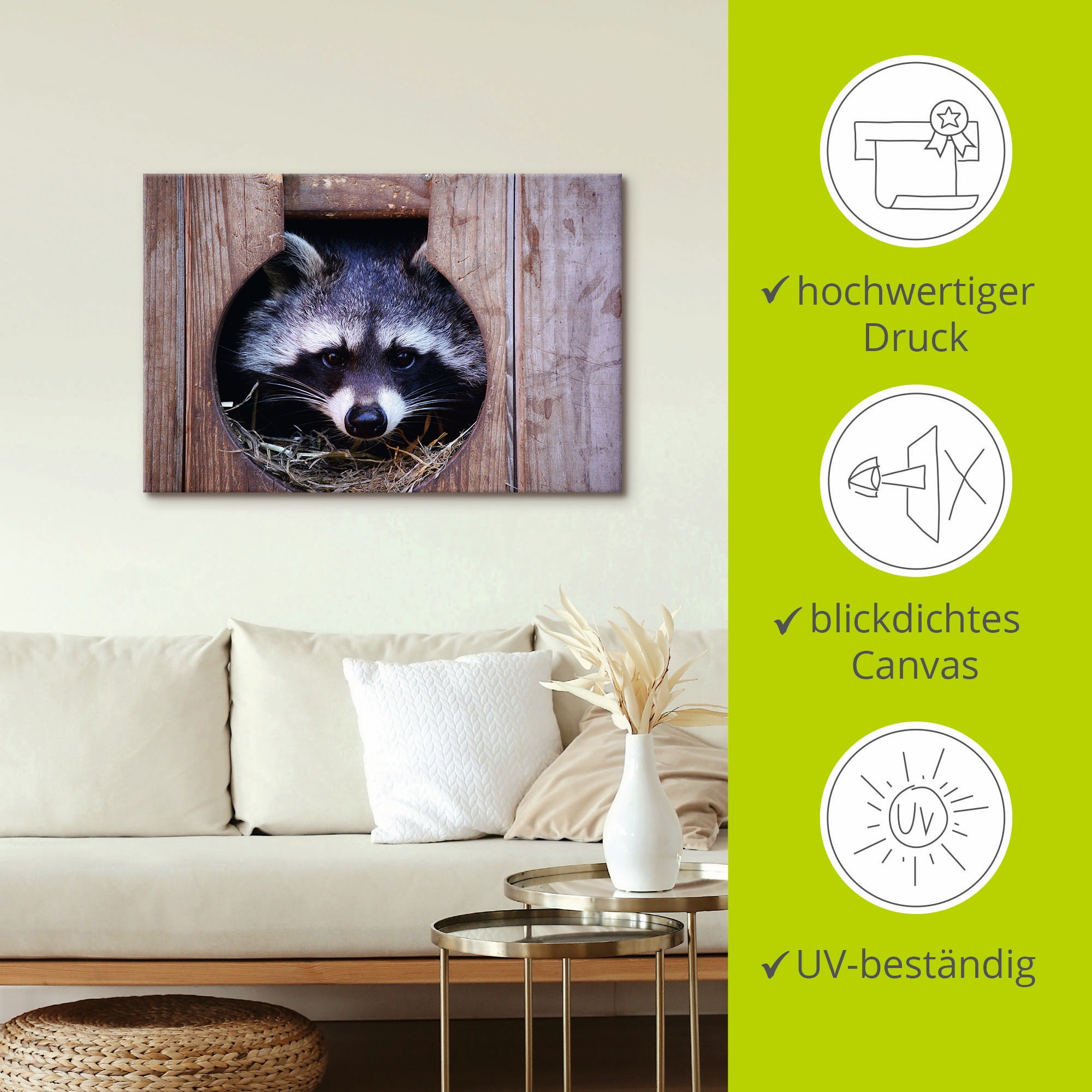 Artland Wandbild »Niedlicher kleiner Waschbär«, Wildtiere, (1 St.), als Leinwandbild, Wandaufkleber in verschied. Größen