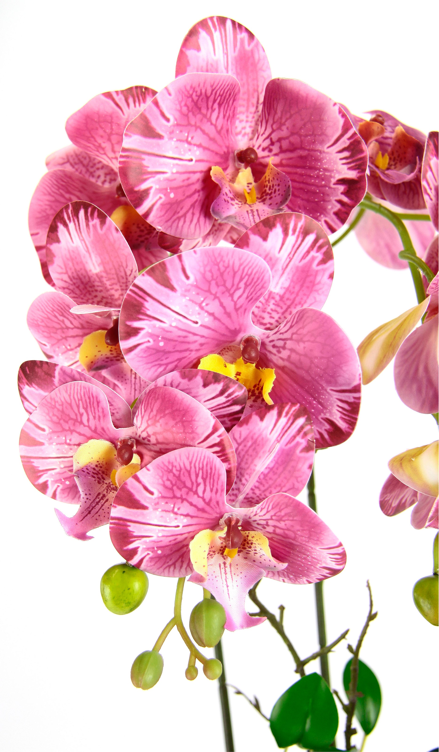 I.GE.A. Kunstblume »Orchidee«, Im Topf Phalaenopsis Orchidee Phalaenopsis m günstig online kaufen