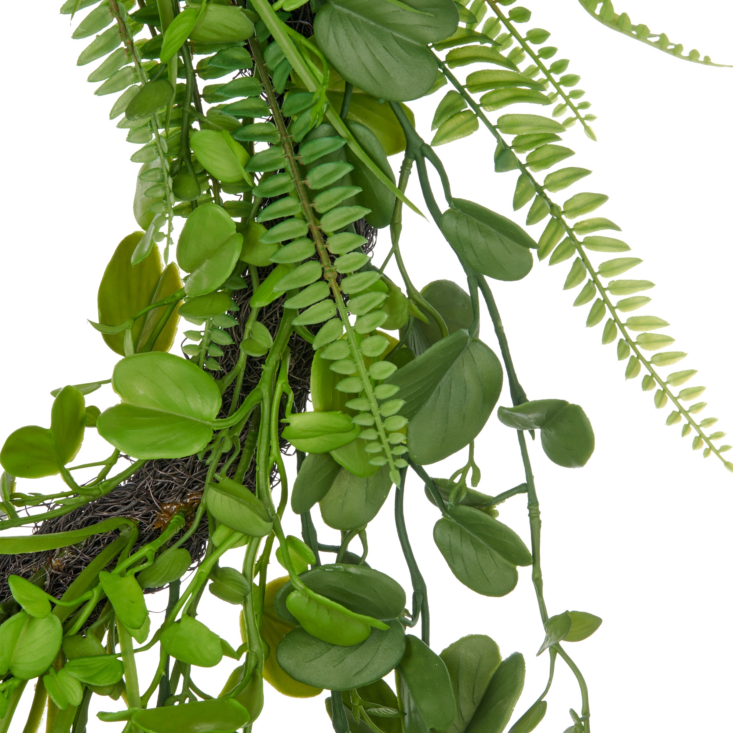 Creativ green Kunstkranz »Kranz mit Blättern«, mit detailgetreuen Blatt- und Farnzweigen