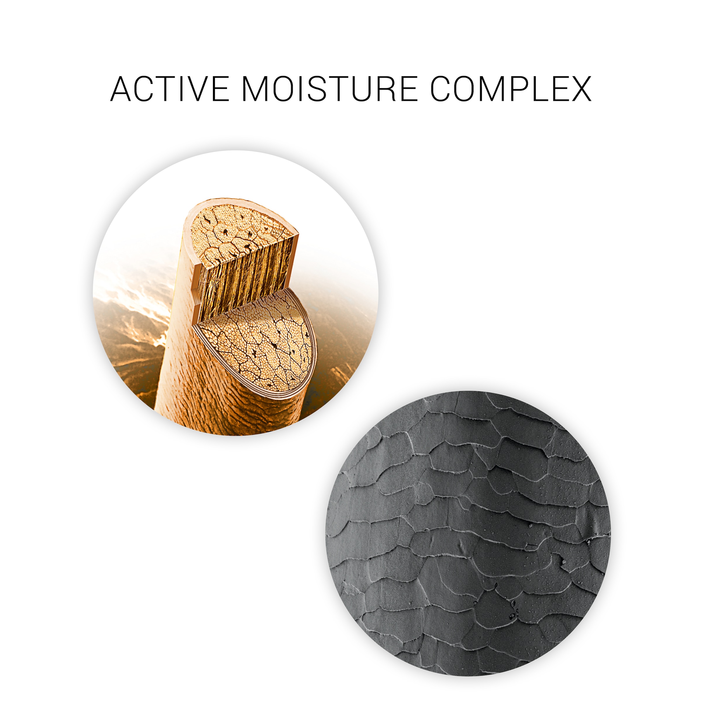 Wella SP Haarshampoo »Hydrate Shampoo« feuchtigkeitsspendend, pflegend, für jedes Haar geeignet