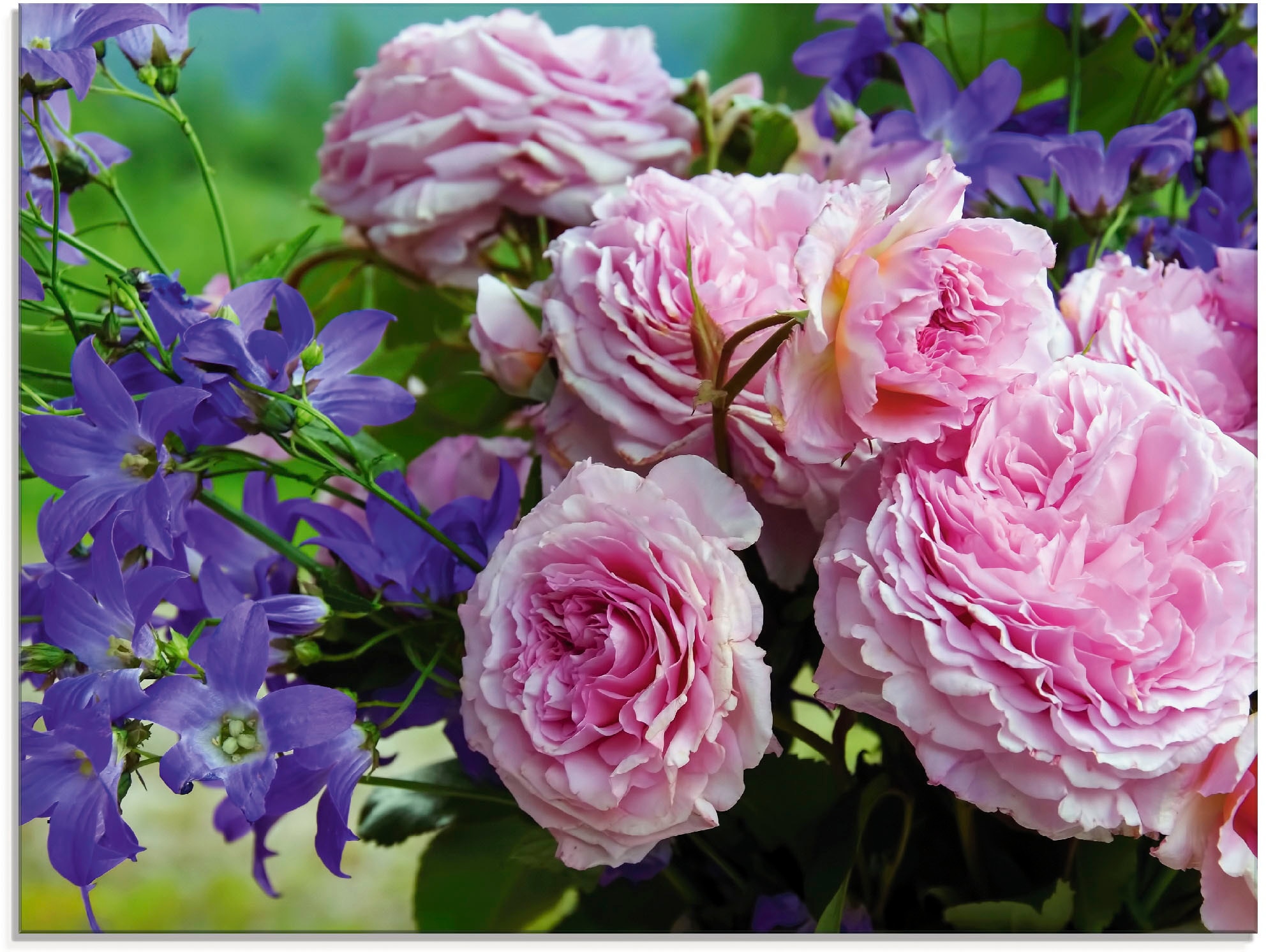 Artland Glasbild "Rosen und Glockenblumen", Blumen, (1 St.), in verschieden günstig online kaufen