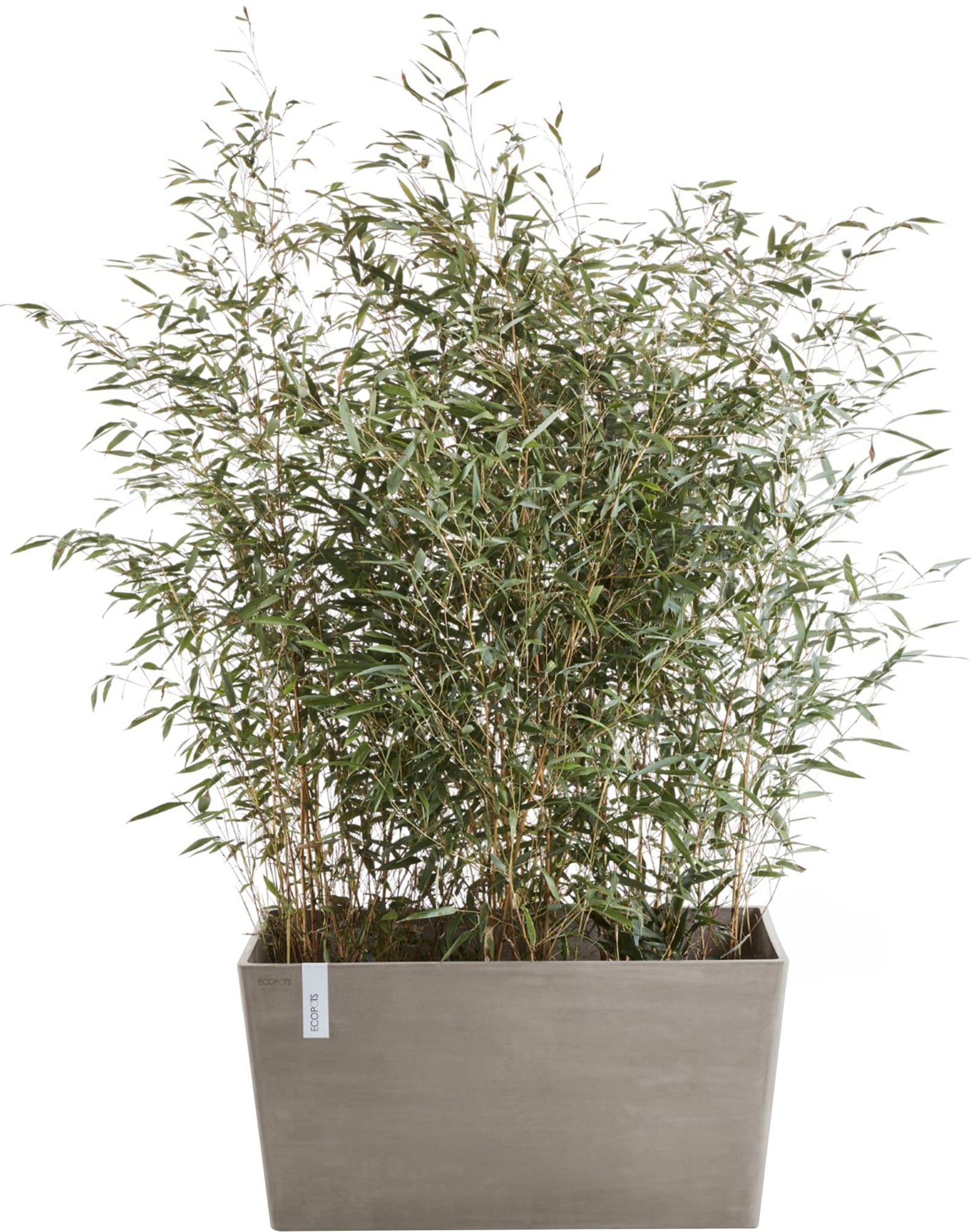 ECOPOTS Blumentopf »Paris 60 Taupe«, für den Außenbereich: frostsicher, bruchsicher und lichtbeständig