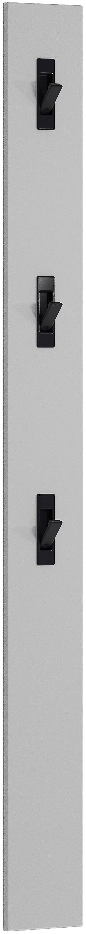 Home affaire Garderobenpaneel »SPACE, Garderobenleiste, Wanpaneel, Wandgarderobe, Garderobenleiste« 1 Stk. tlg. mit 3 Klapphaken, Hochglanz lackiert, 15x2x170 cm