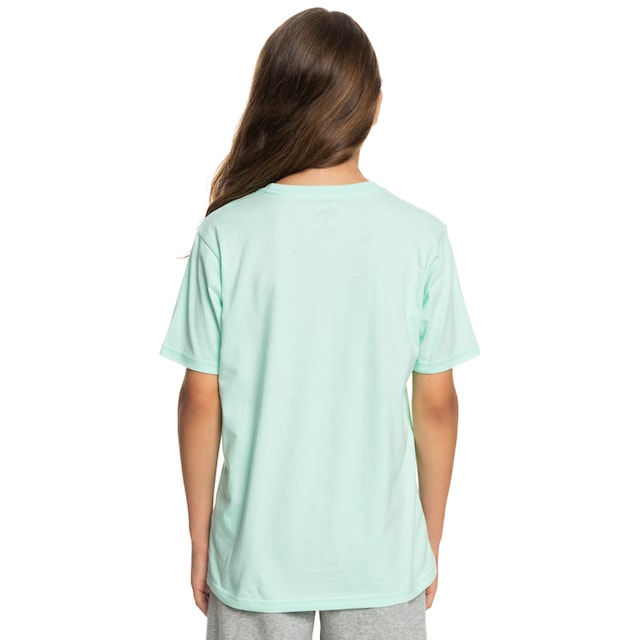 Quiksilver T-Shirt »In bei Shapes« online