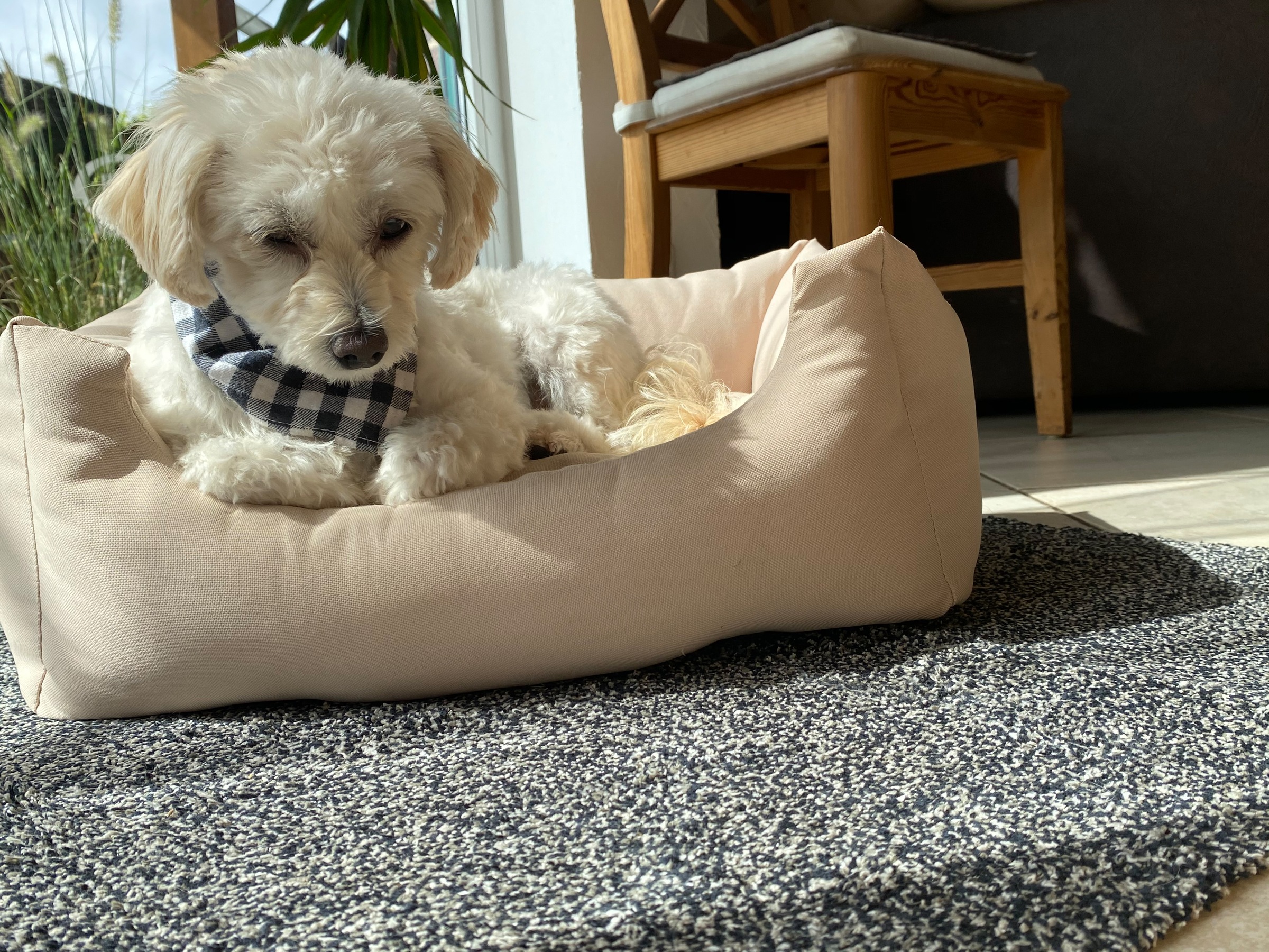 ASTRA Fußmatte »Saugstark 601« rechteckig 9 mm Höhe Schmutzfangmatte, In -und Outdoor geeignet