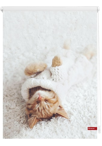 LICHTBLICK ORIGINAL Seitenzugrollo »Klemmfix Digital Sleepy Cat«, verdunkelnd,... kaufen