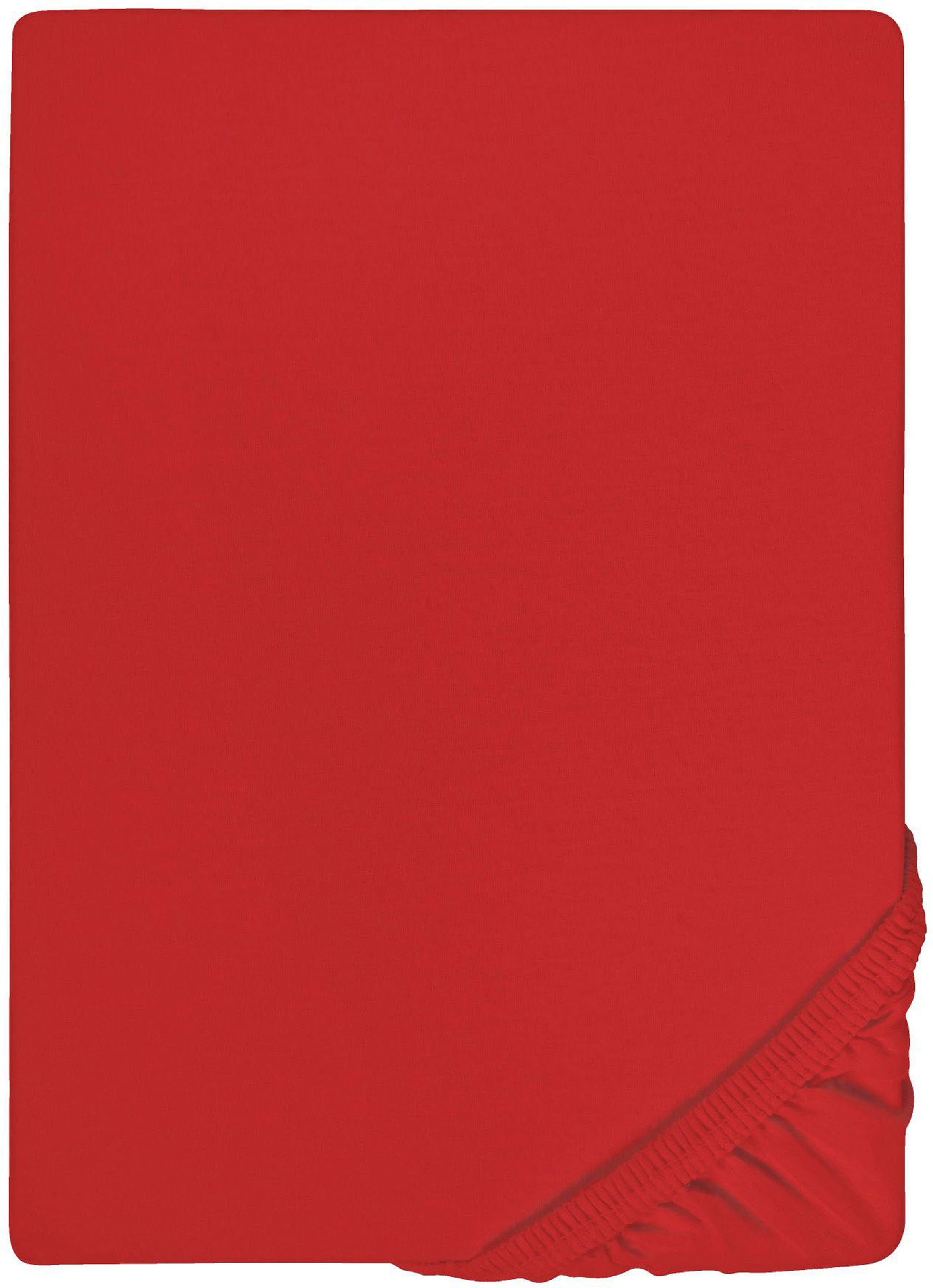 Biberna Spannbettlaken »Marc in Gr. 90x200, 140x200 oder 180x200 cm«, (1 St.), aus Baumwolle, für Matratzen bis 22 cm Höhe, Bettlaken, Spannbetttuch