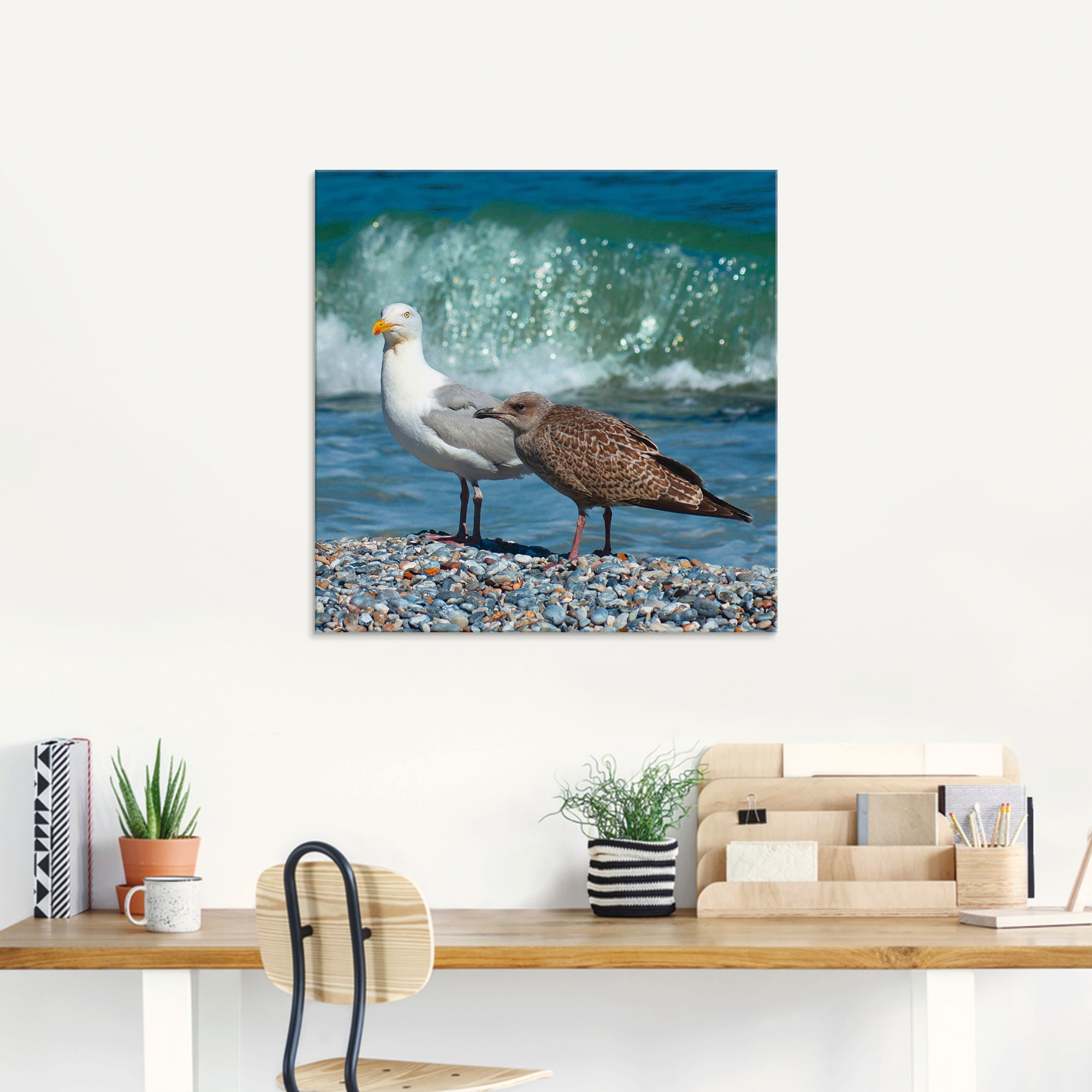 Artland Glasbild »Möwen in der Meeresbrandung«, Vögel, (1 St.), in verschiedenen Größen