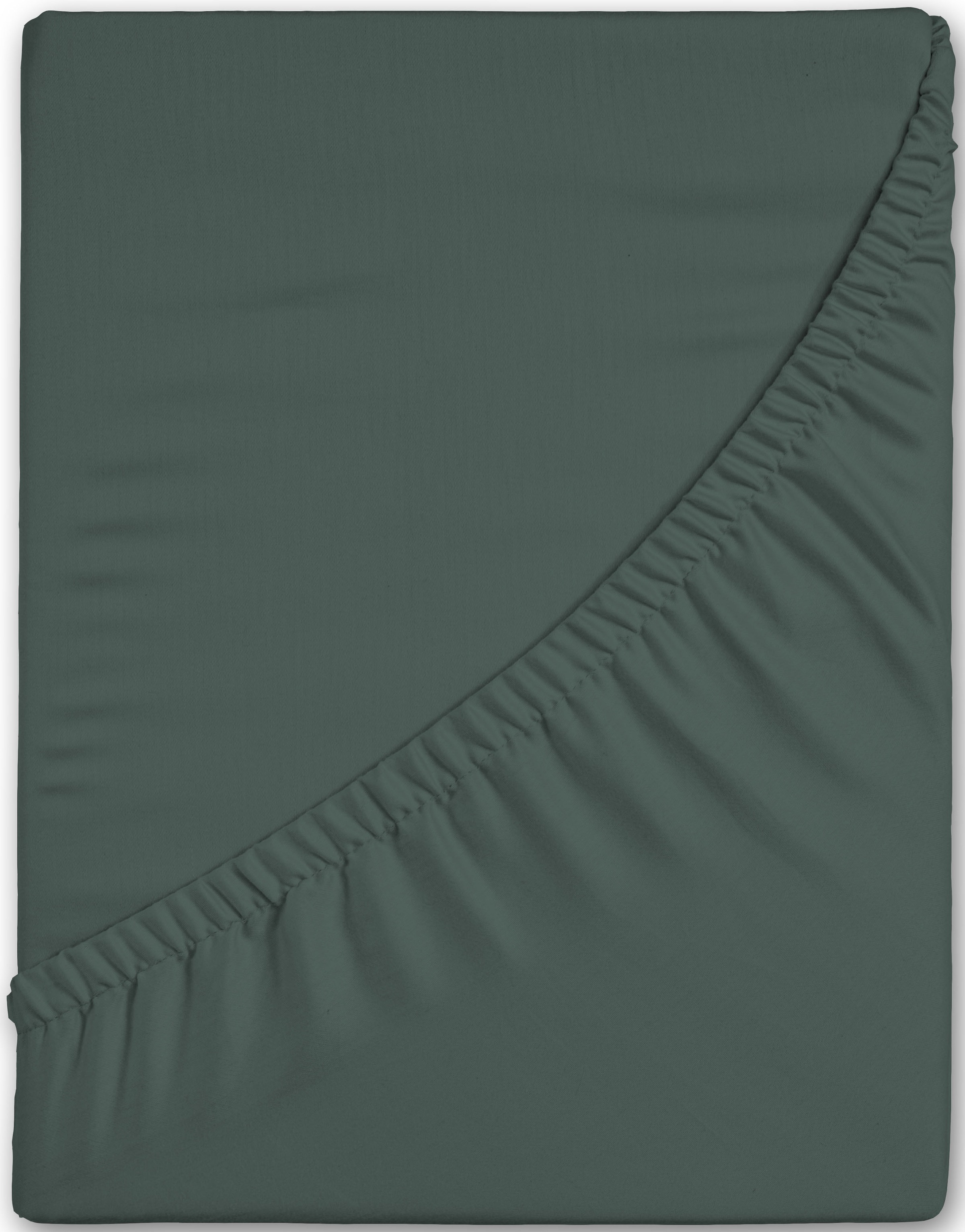 good morning Spannbettlaken »Renforcé Good Morning«, 100% Baumwolle, Renfor günstig online kaufen