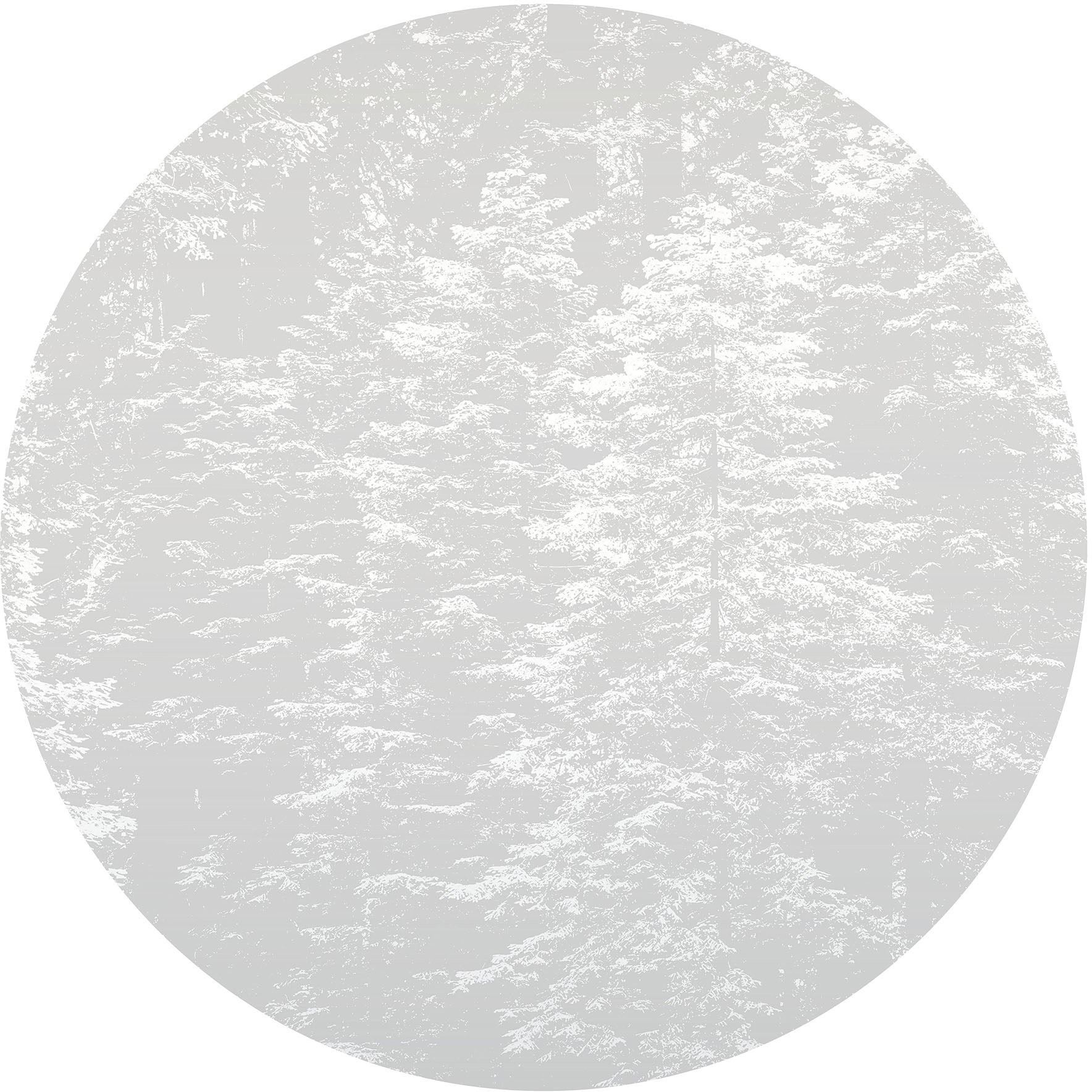 Fashion for walls Fototapete »Hazy Pines«, floral-gepflegt, Phthalate frei
