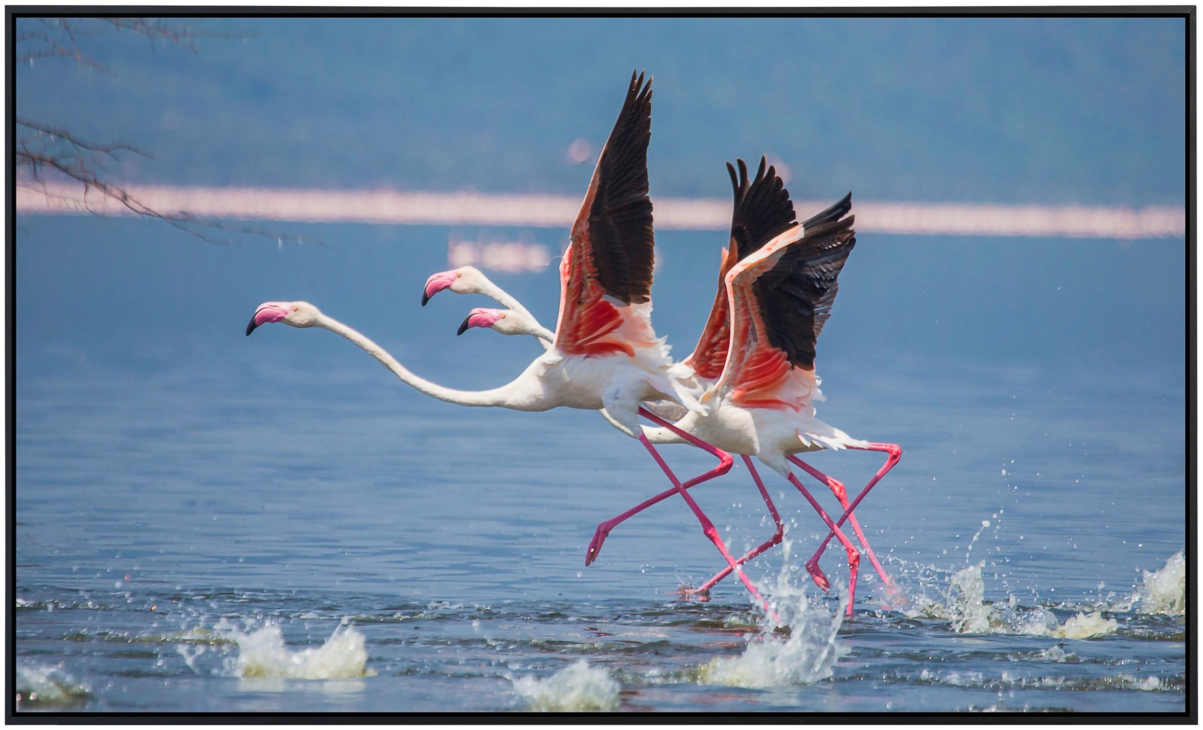 Papermoon Infrarotheizung »Flamingos heben ab«, sehr angenehme Strahlungswä günstig online kaufen