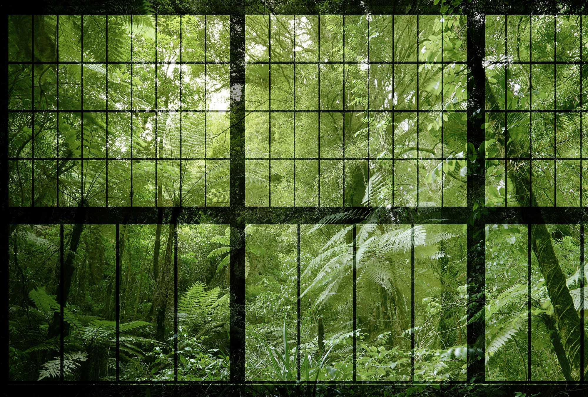 living walls Fototapete »Walls by Patel Rainforest 2«, Vlies, Wand, Schräge günstig online kaufen