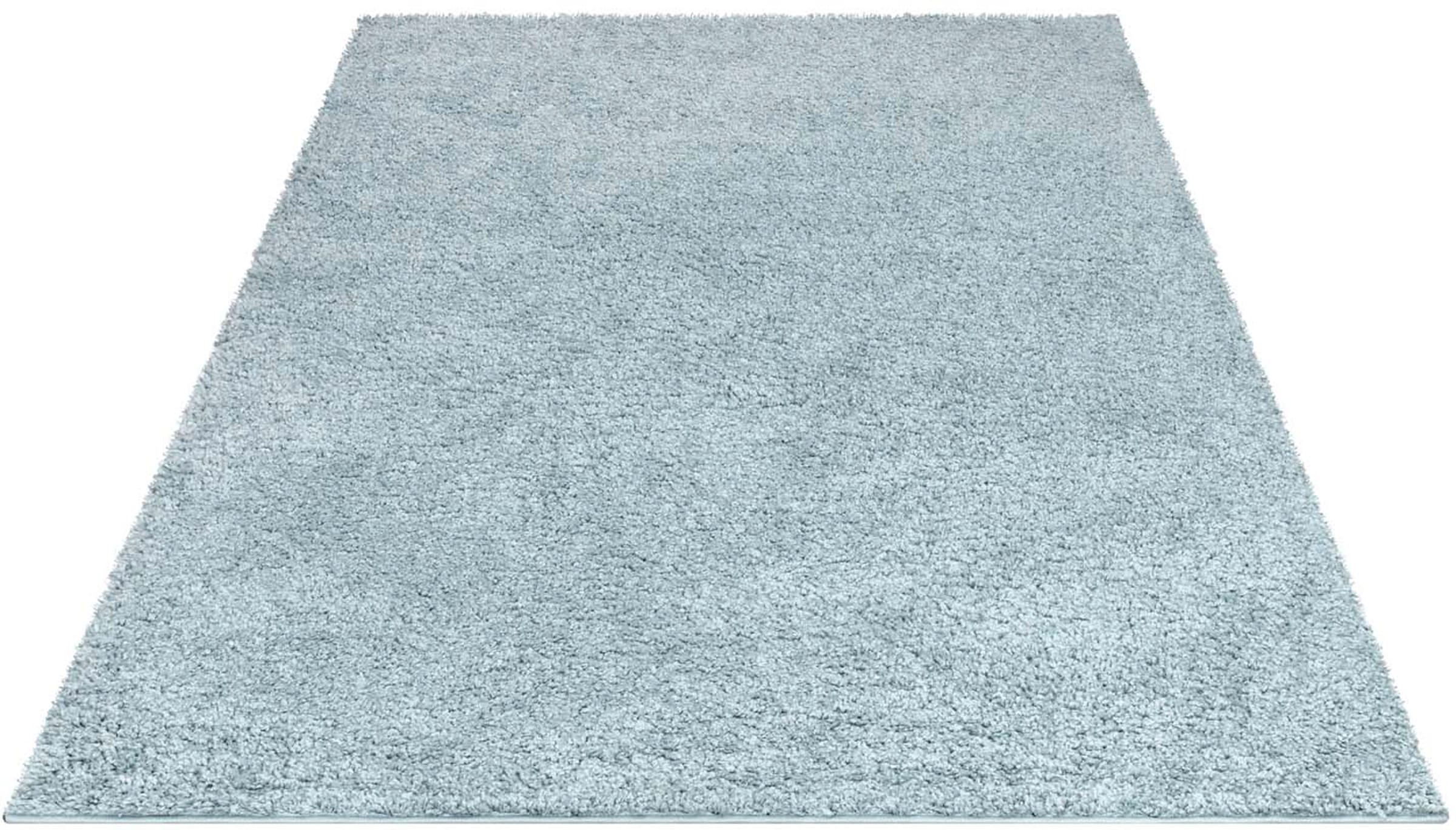 Carpet City Hochflor-Teppich »City Shaggy«, rechteckig, 30 mm Höhe, Robuste günstig online kaufen