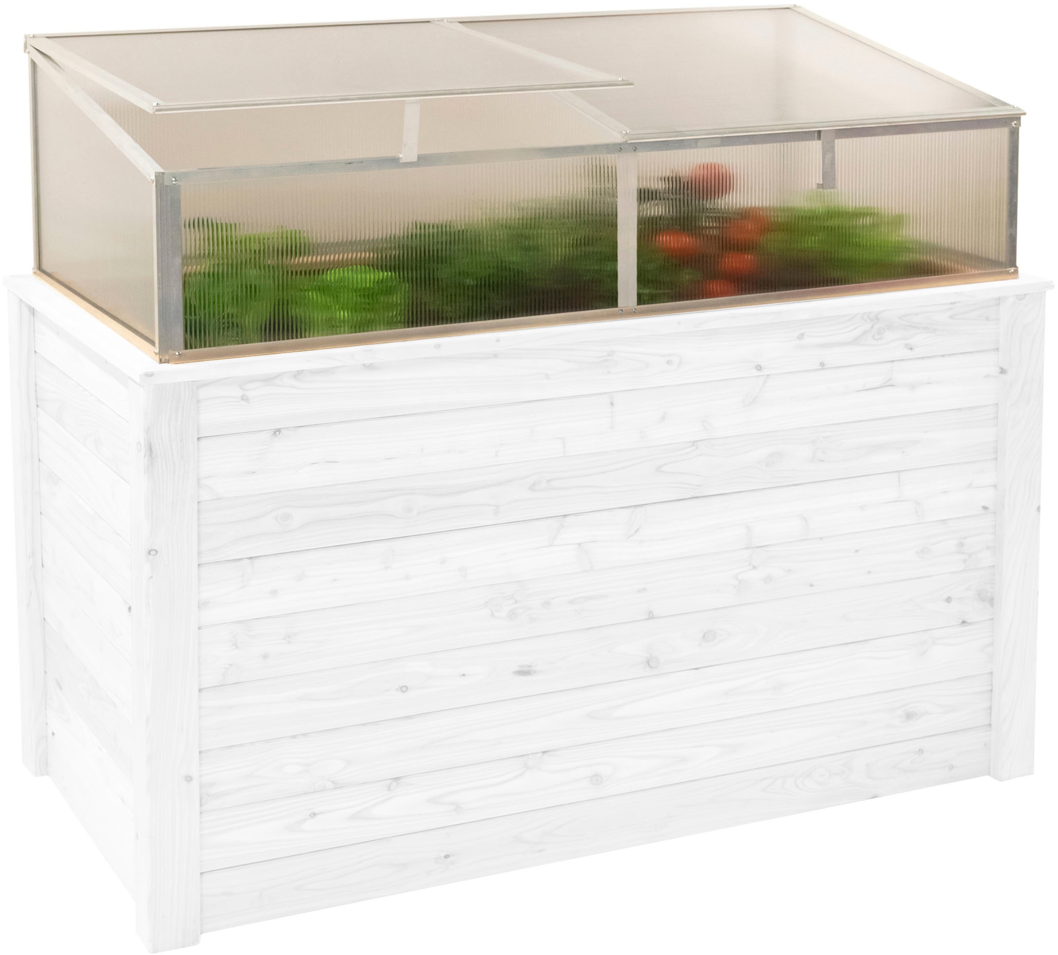 WESTMANN Frühbeetaufsatz »Genus 170«