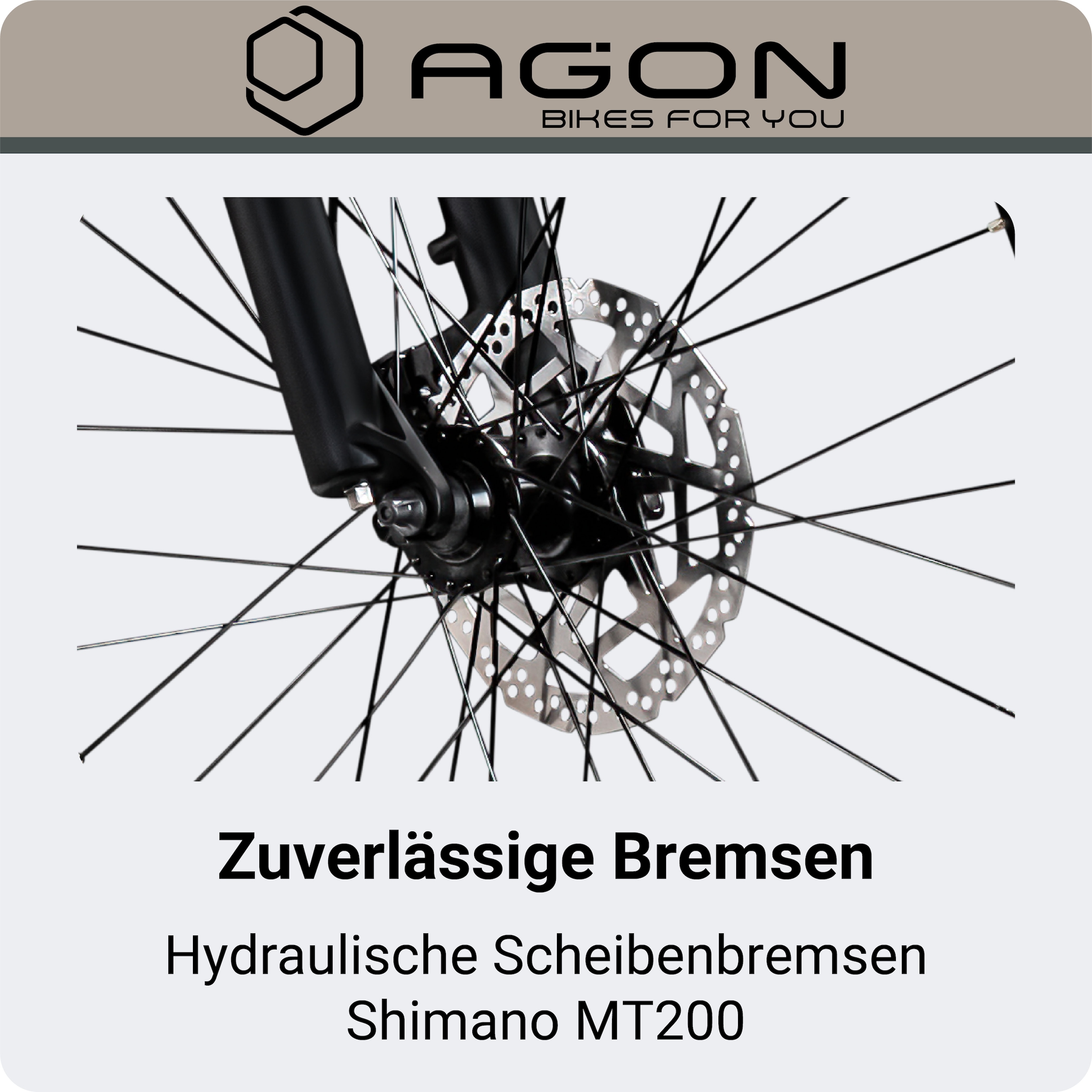 AGON »Alpha« 10 Gang Deore SGS T6000 Schaltwerk Kettenschaltung Heckmotor 250 W Pedelec, Elektrofahrrad für Damen u. Herren, MTB