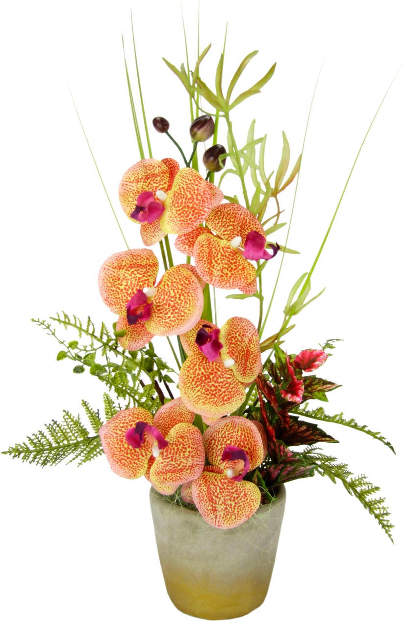 Artland Glasbild St.), (1 Rechnung »Orangener Größen Hibiskus«, in bestellen verschiedenen auf Blumen