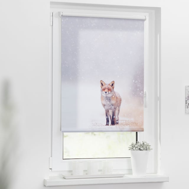 LICHTBLICK ORIGINAL Seitenzugrollo »Klemmfix Motiv Fuchs im Schnee«,  Lichtschutz, ohne Bohren, freihängend, bedruckt bequem und schnell  bestellen