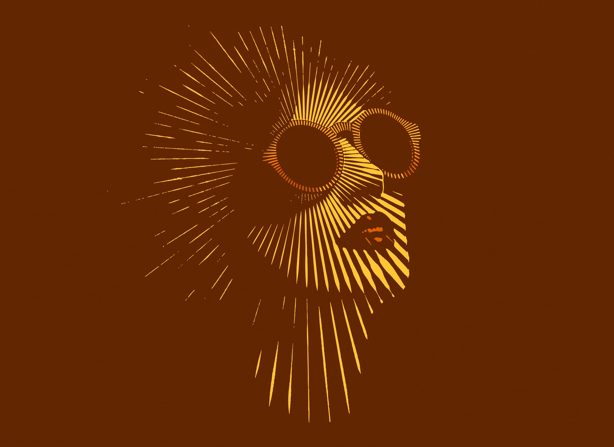 A.S. Création Vliestapete »Fototapete Frau mit Sonnenbrille Retro Braun Gel günstig online kaufen