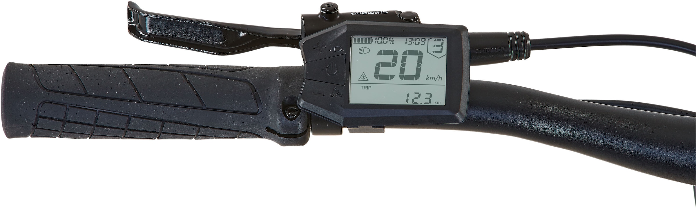 Prophete E-Bike »Dice 3.0«, 10 Gang, Shimano, Cues, Mittelmotor 250 W