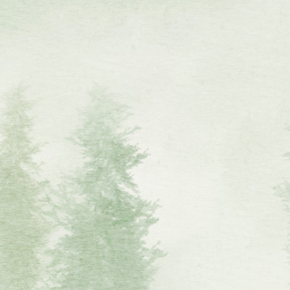 Komar Fototapete »Vlies Fototapete - Blurry Woods - Größe 350 x 250 cm« Motiv | bedruckt glatt