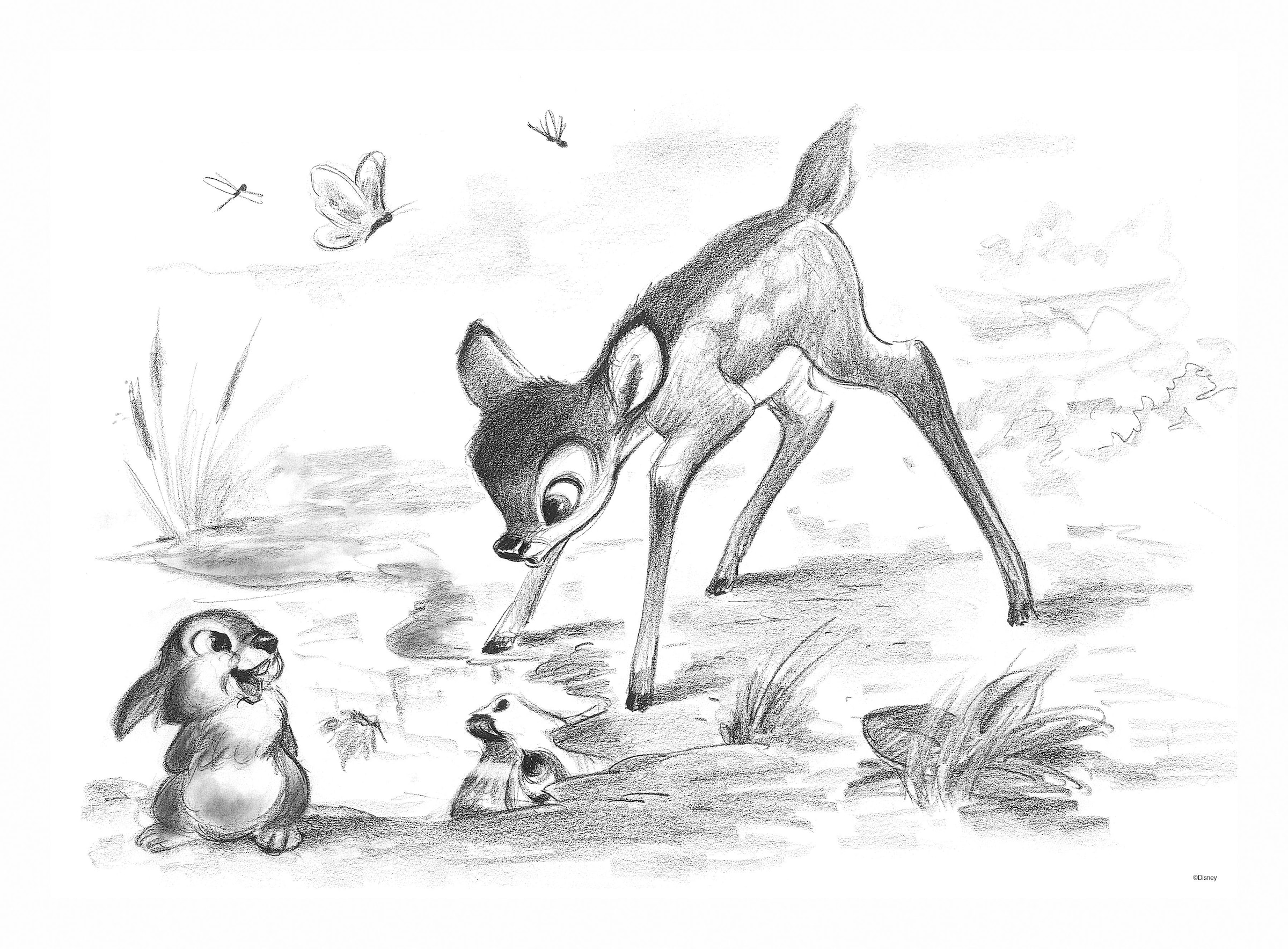 auf Klopfer, Klopfer«, Raten Leinwandbild & kaufen »Bambi Disney 50x70cm & Bambi