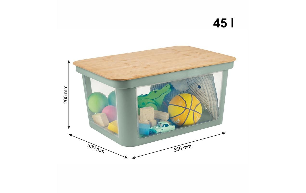 Rotho Babydesign Aufbewahrungsbox »Spielzeugbox PINA 45 l Sage«