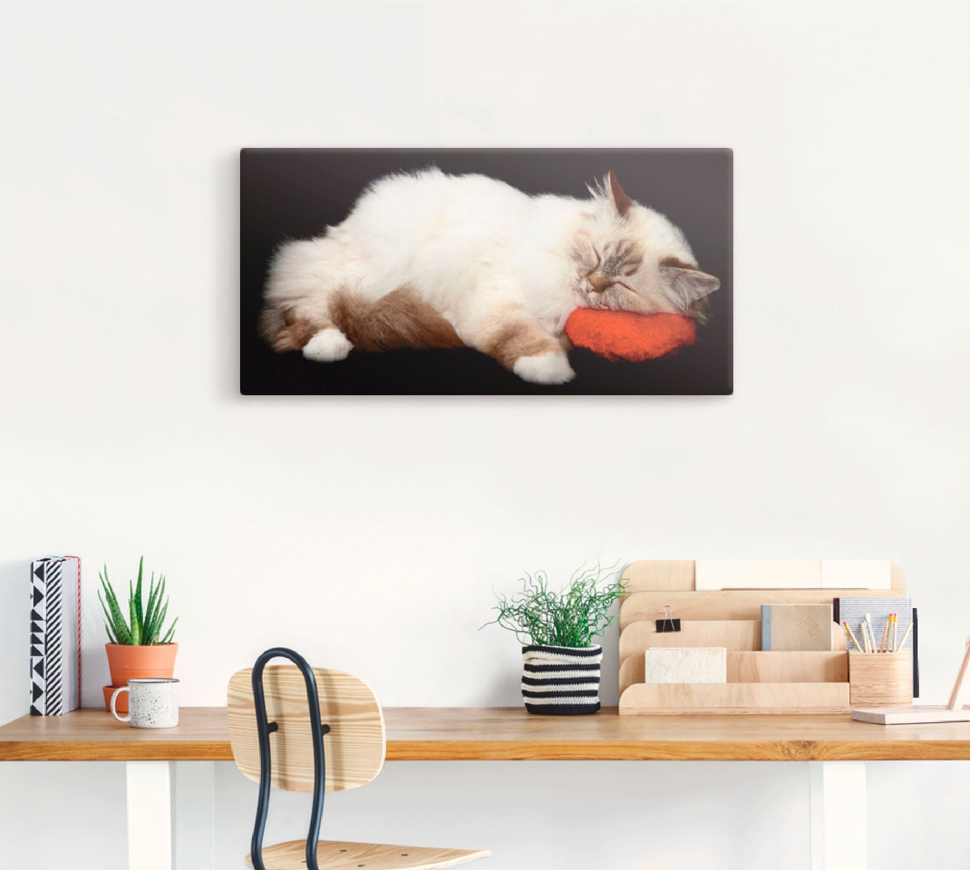 Artland Wandbild »Müde Katze«, Haustiere, (1 St.), als Leinwandbild, Poster günstig online kaufen