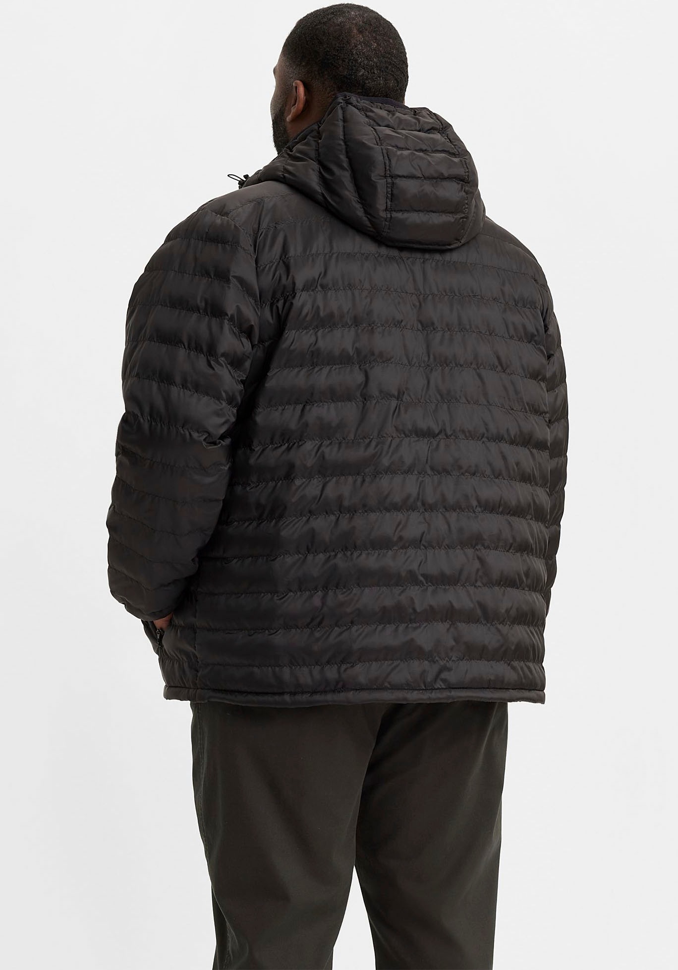 Levi's® Plus Steppjacke »BIG PIERCE PCKBL«, mit Kapuze